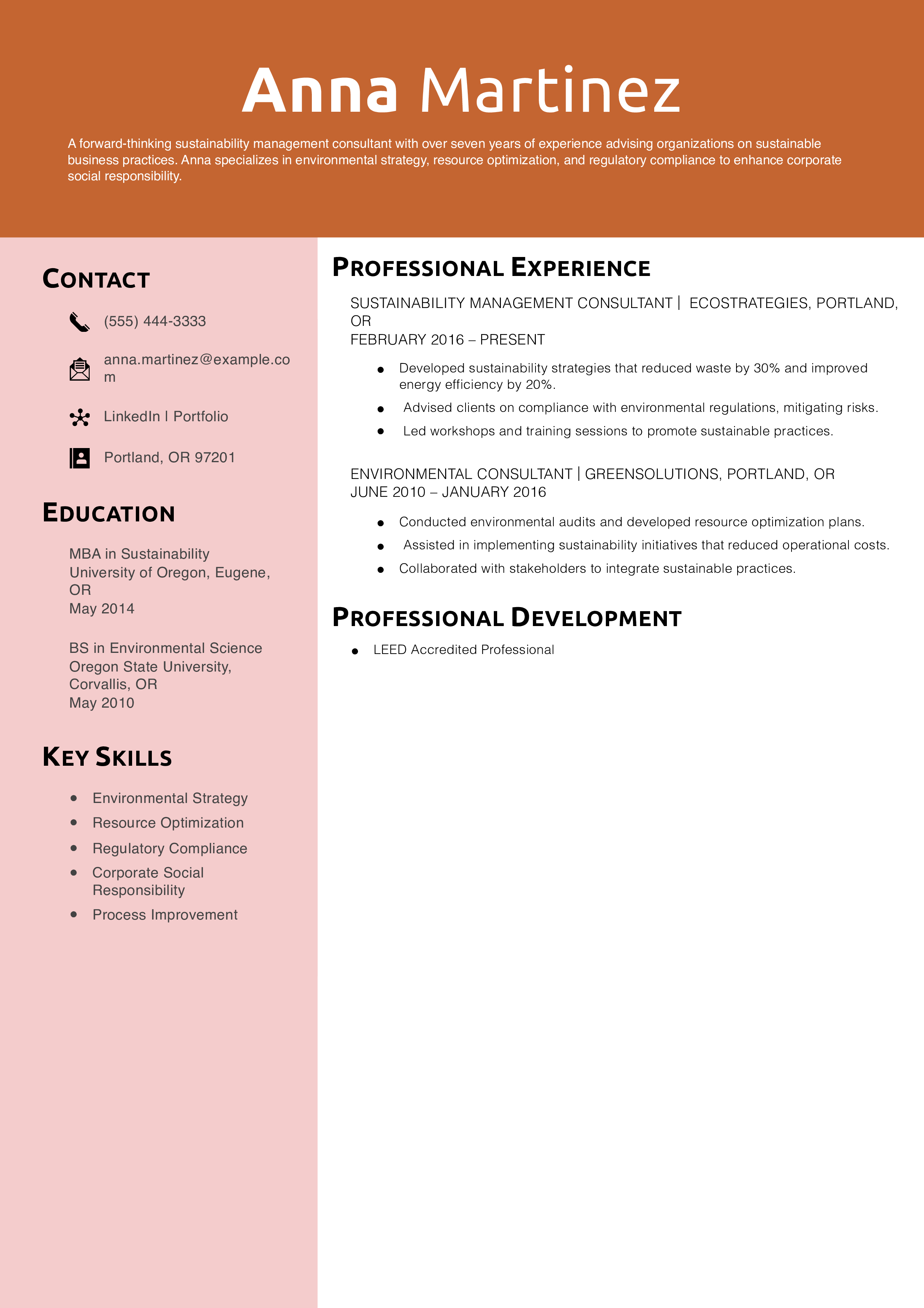 Sustainability Management Consultant Resume Example