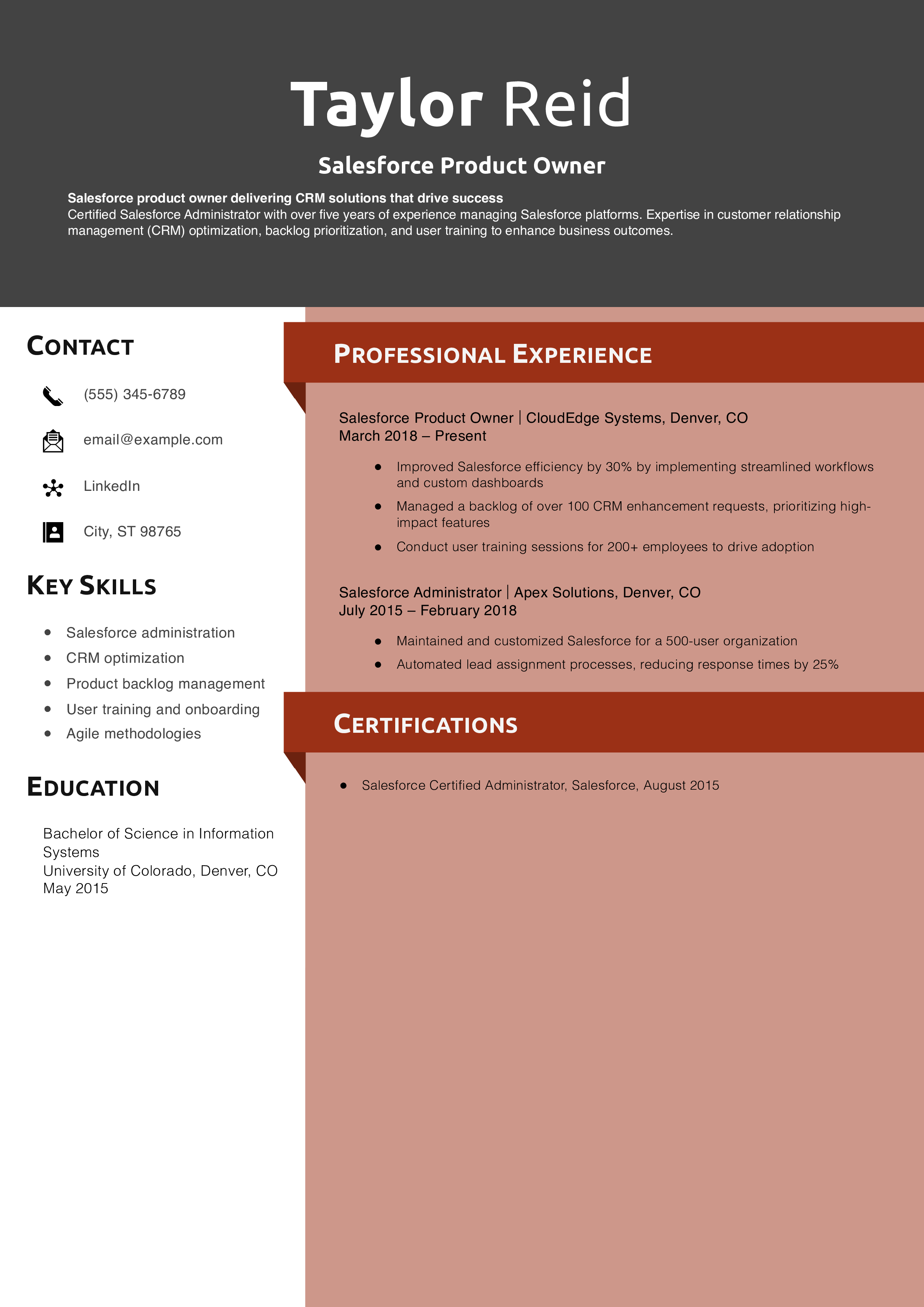 Salesforce Product Owner Resume