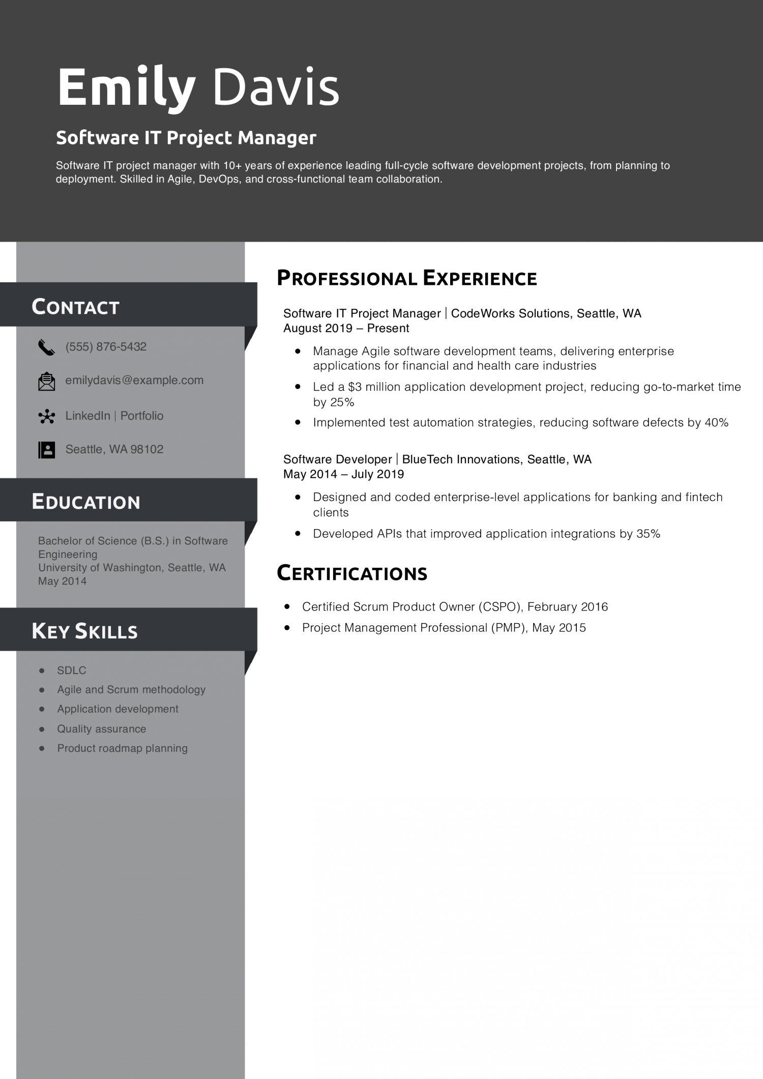 Software IT Project Manager Resume Example