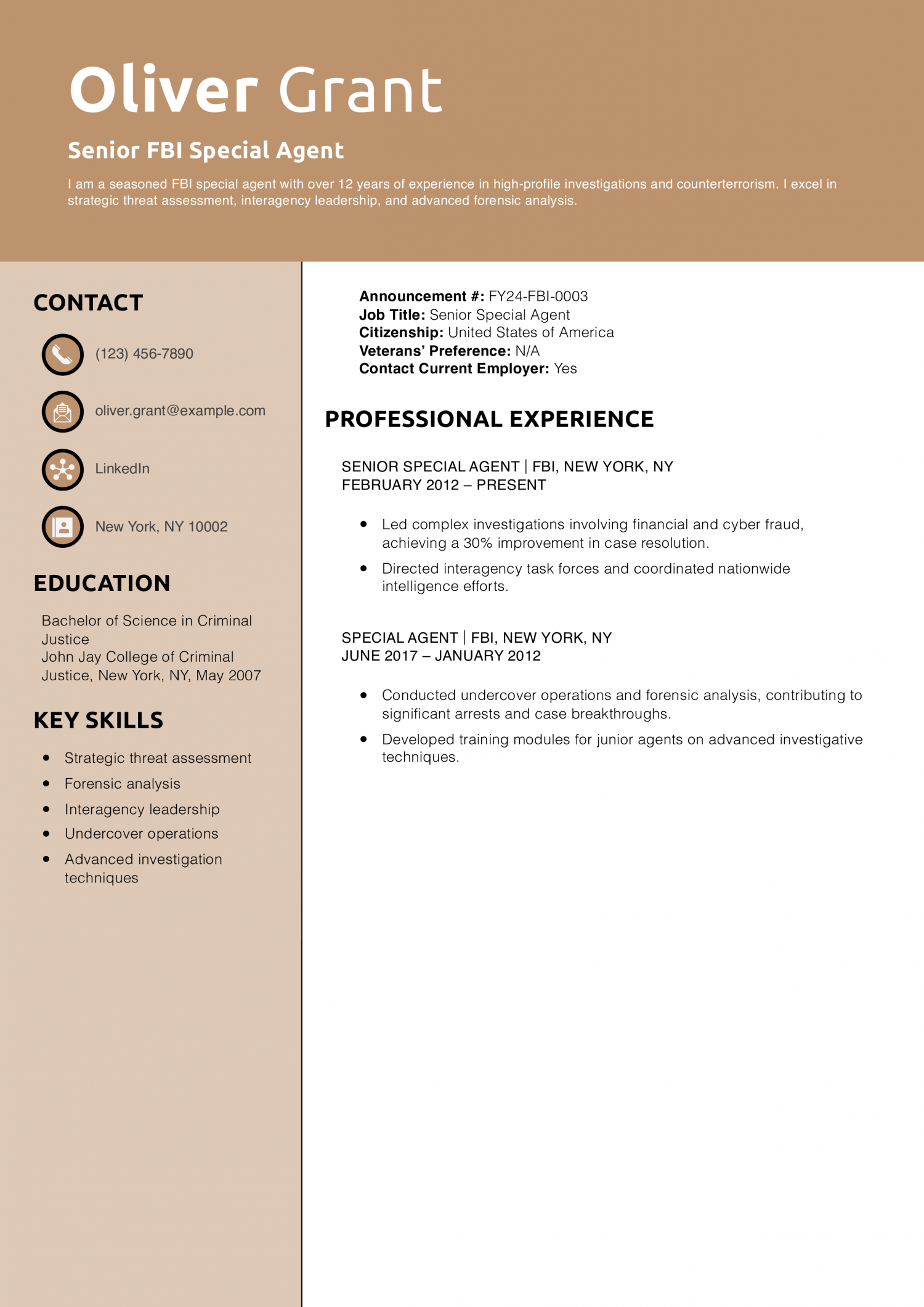 Senior FBI Special Agent Resume Example