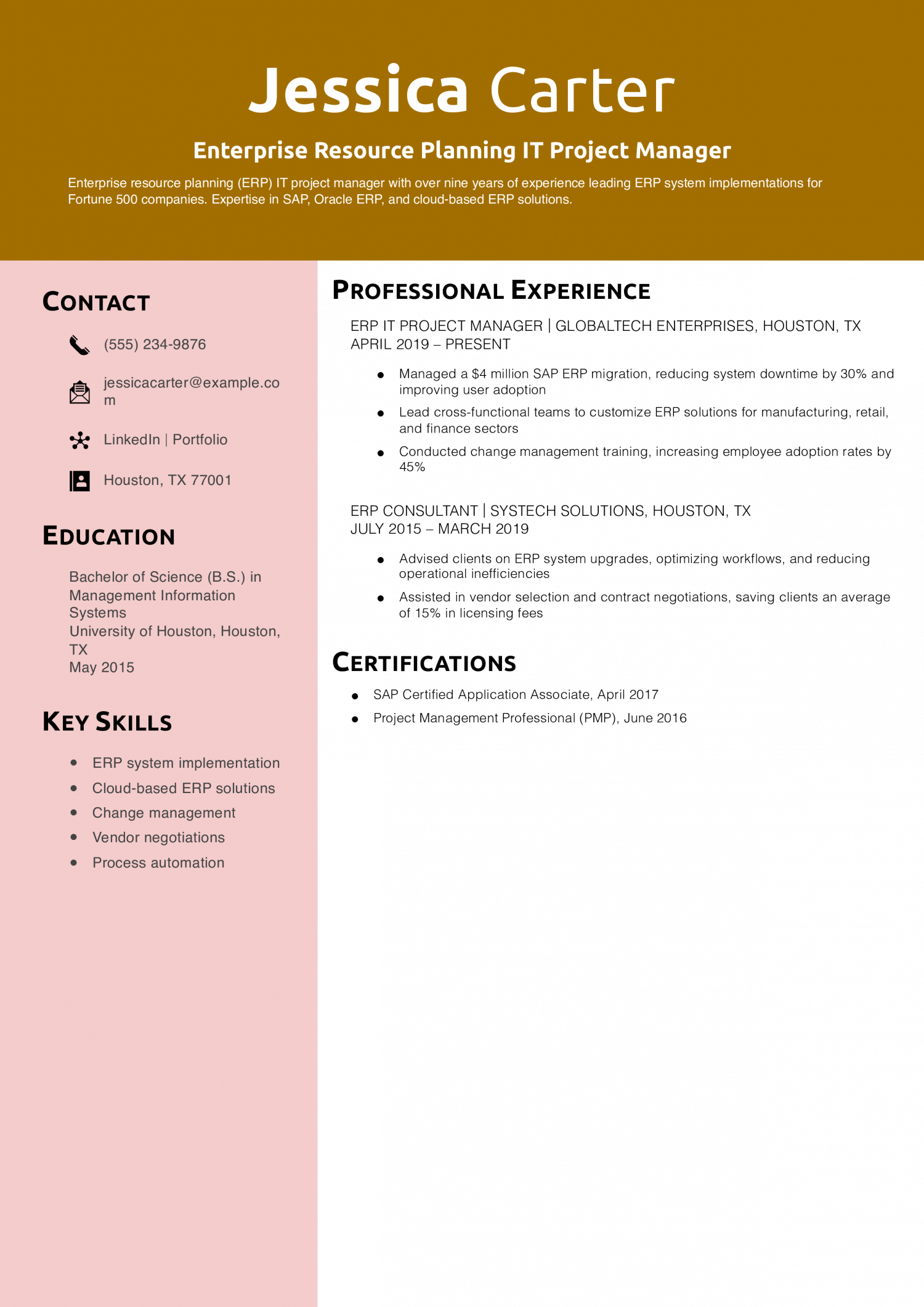 Enterprise Resource Planning IT Project Manager Resume Example