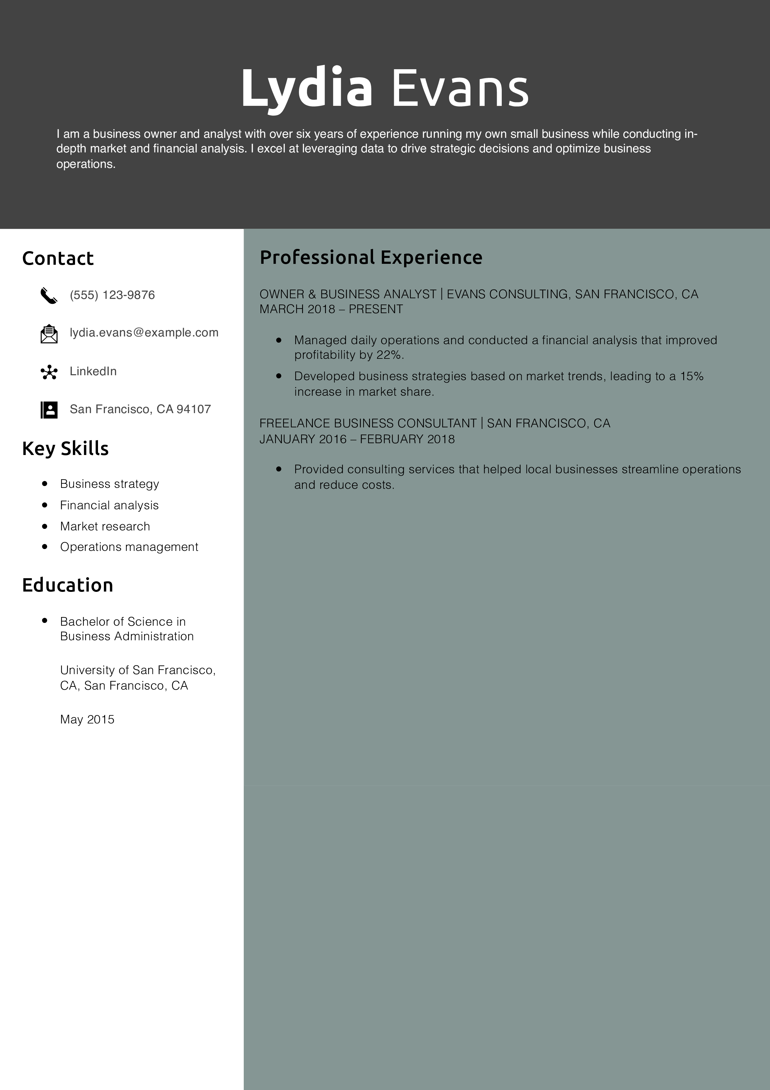 Business Owner & Analyst Resume Example
