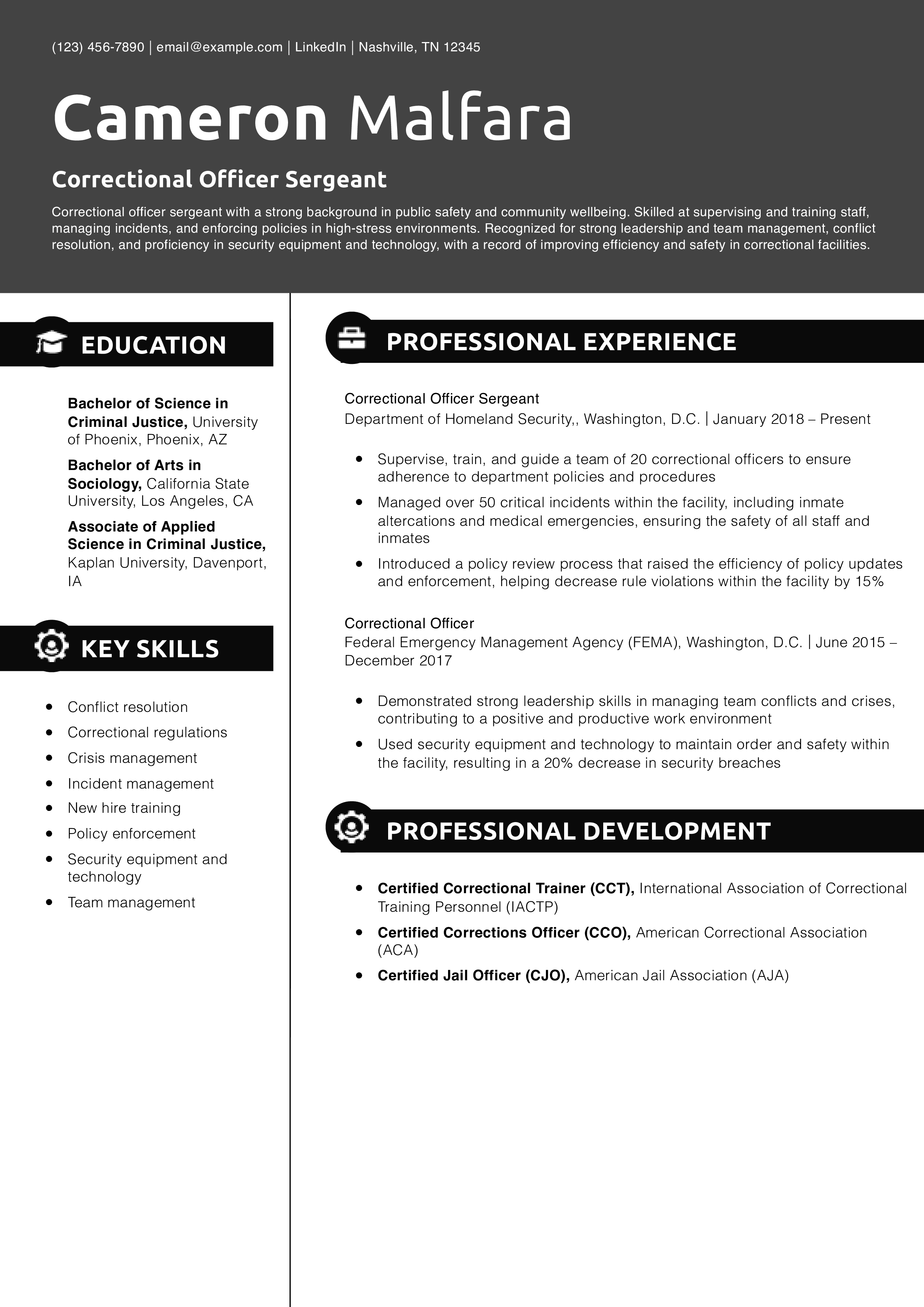 Correctional Officer Sergeant Resume Example