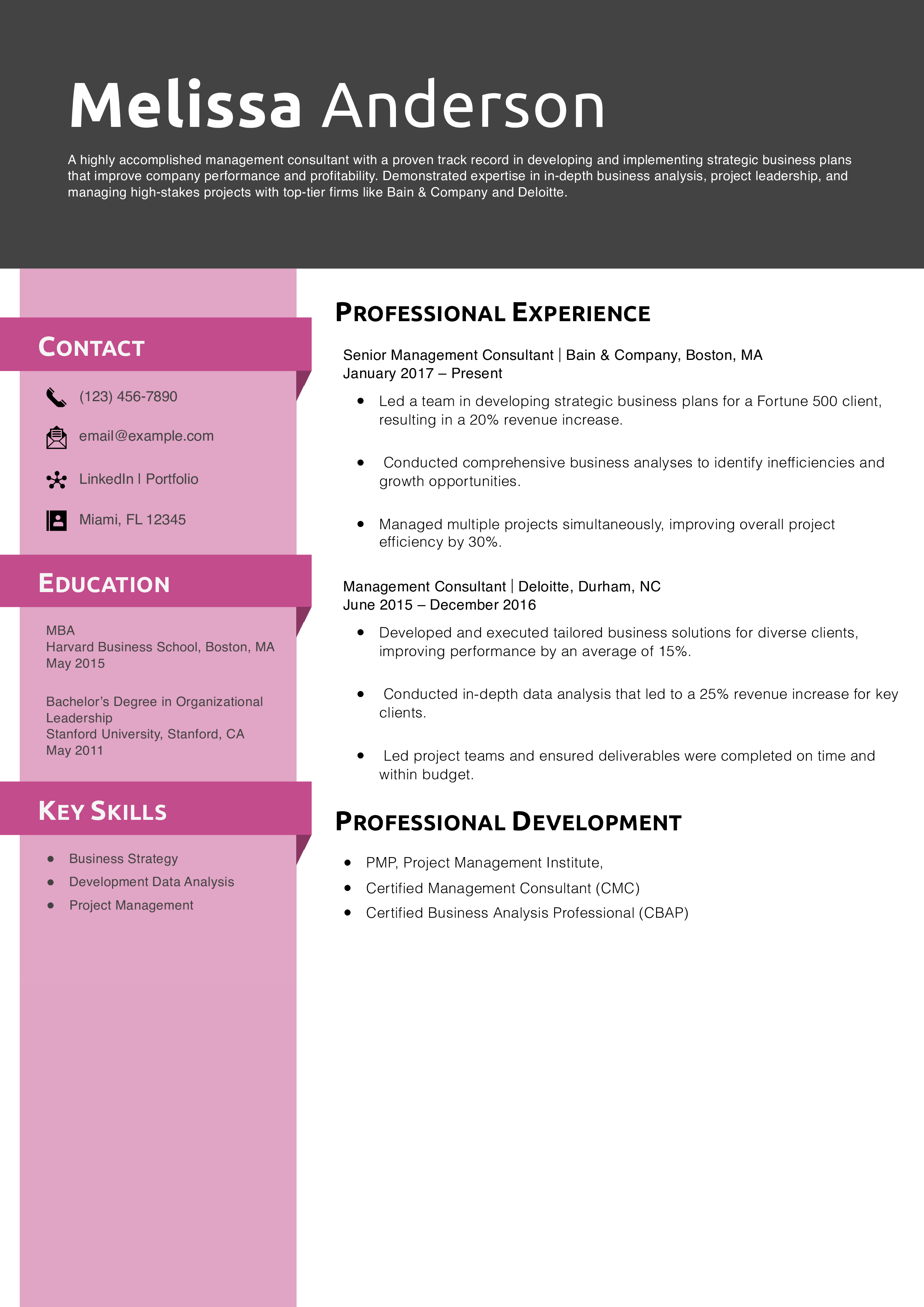 Management Consultant Resume Example 