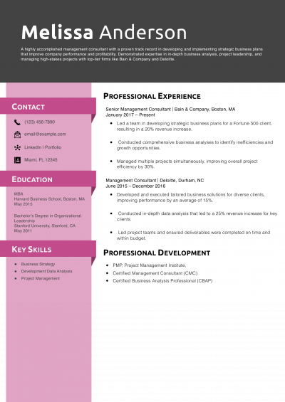 Management Consultant Resume Example 