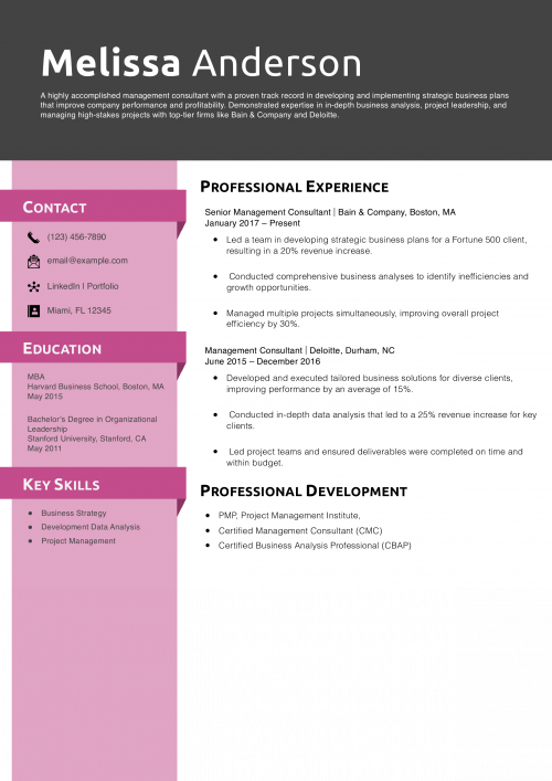 Management Consultant Resume Example 
