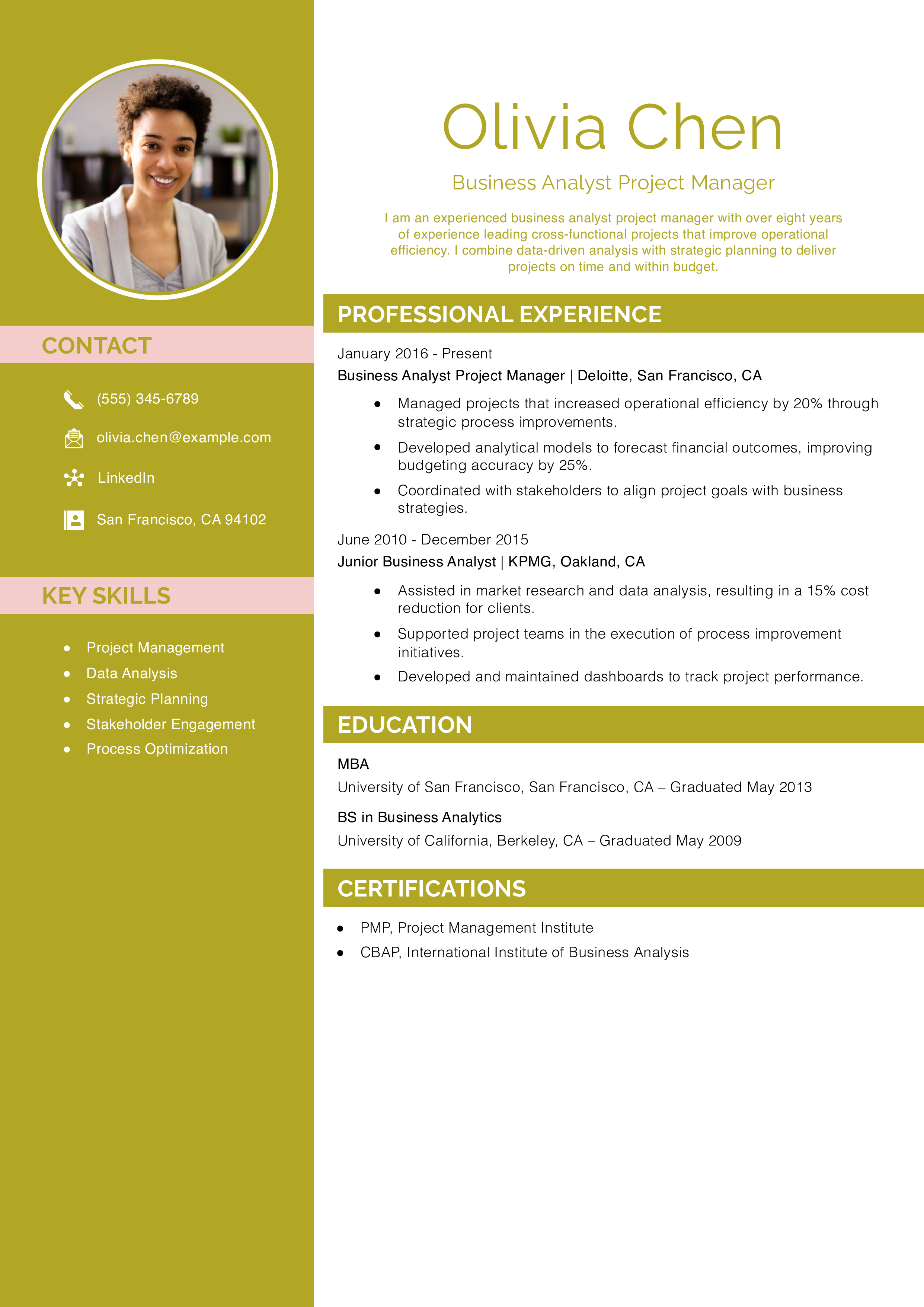 Business Analyst Project Manager Resume Example