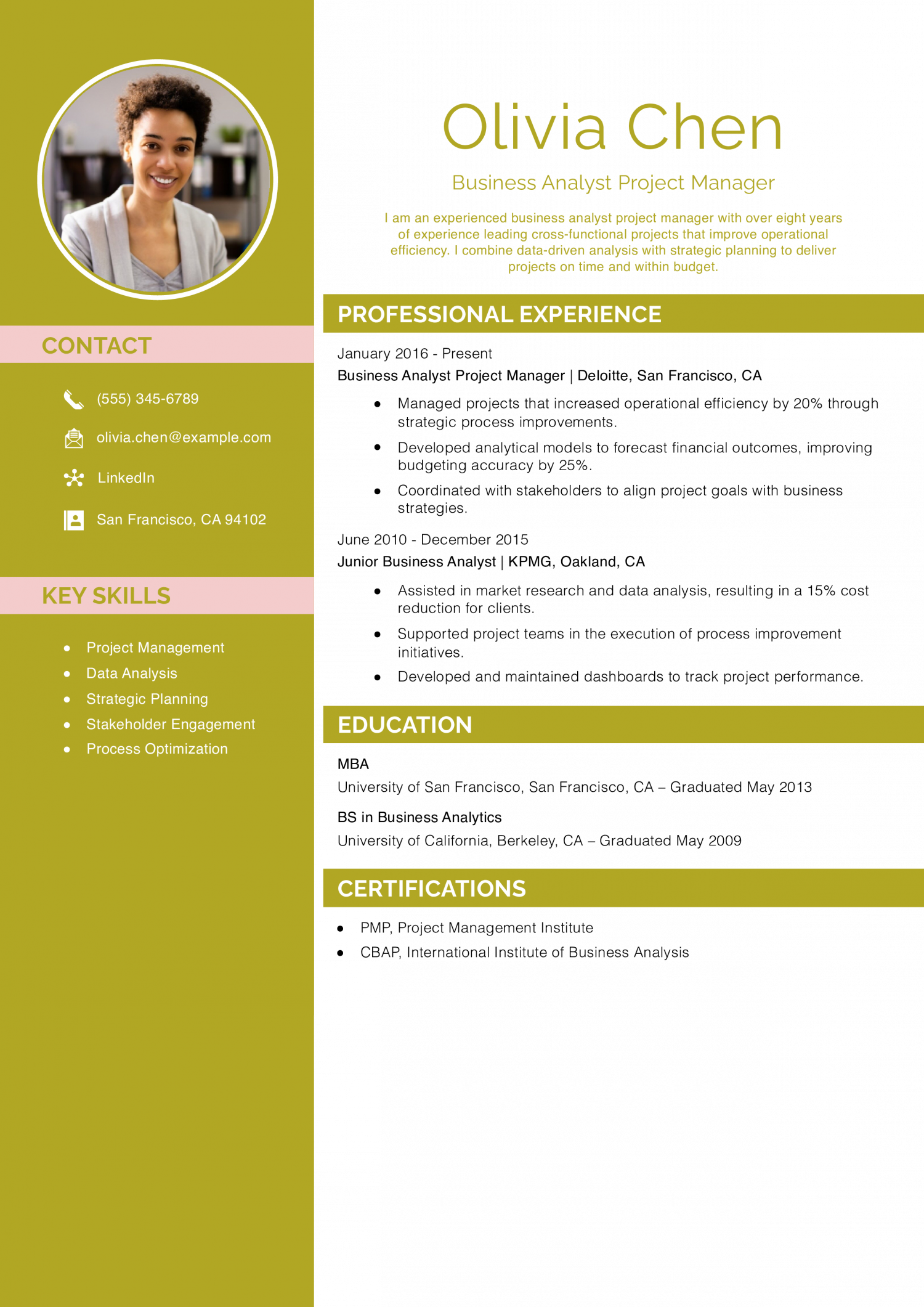 Business Analyst Project Manager Resume Example