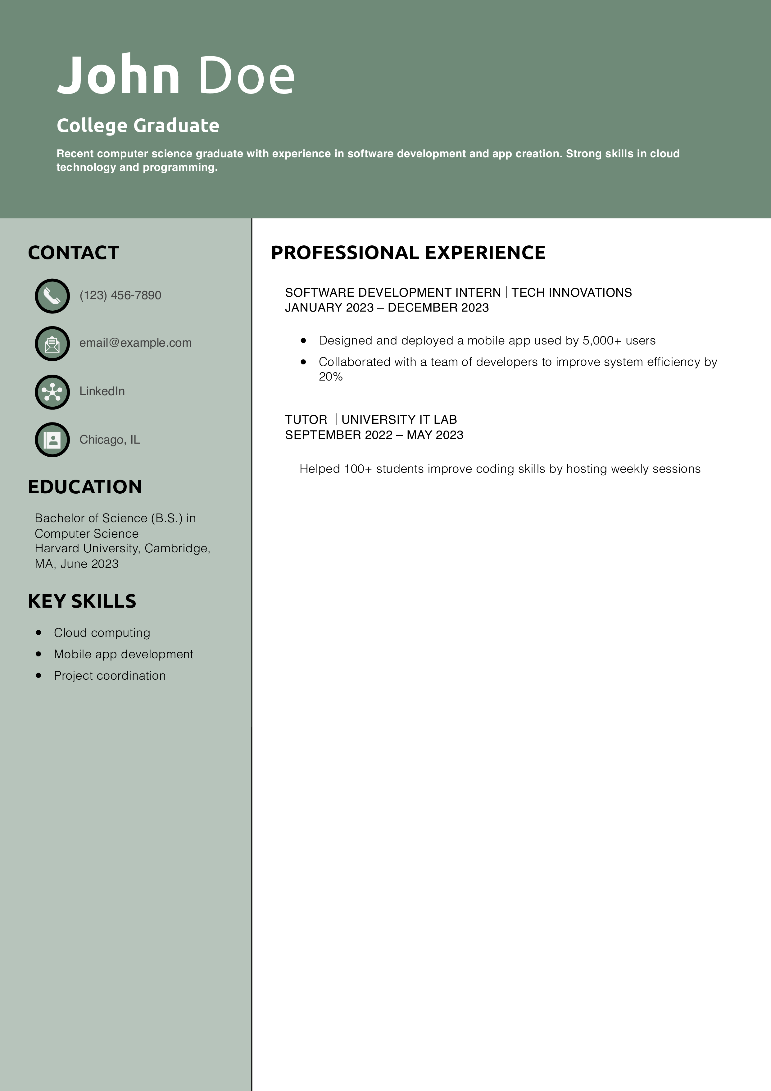 College Graduate Resume Example