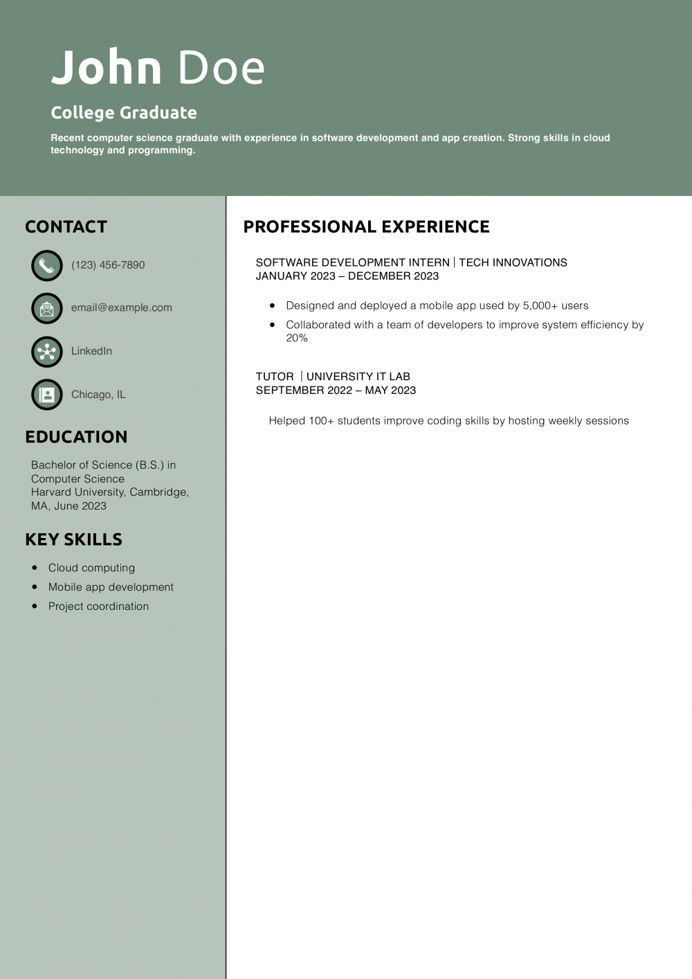 College Graduate Resume Example