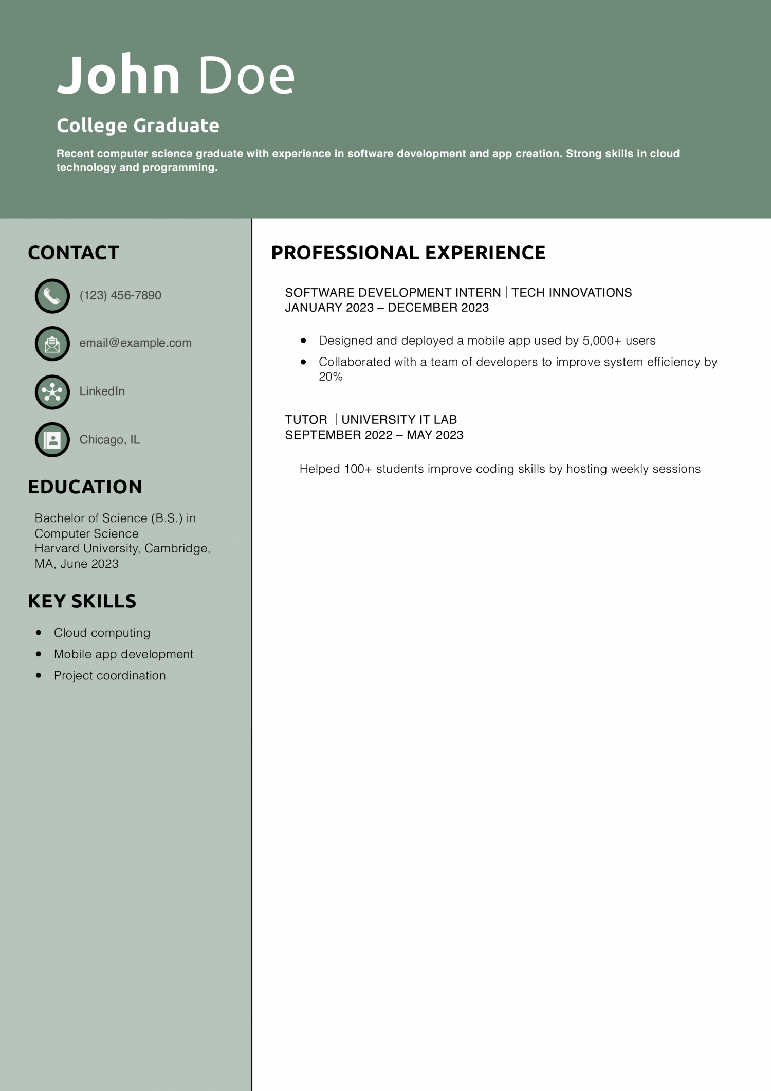 College Graduate Resume Example