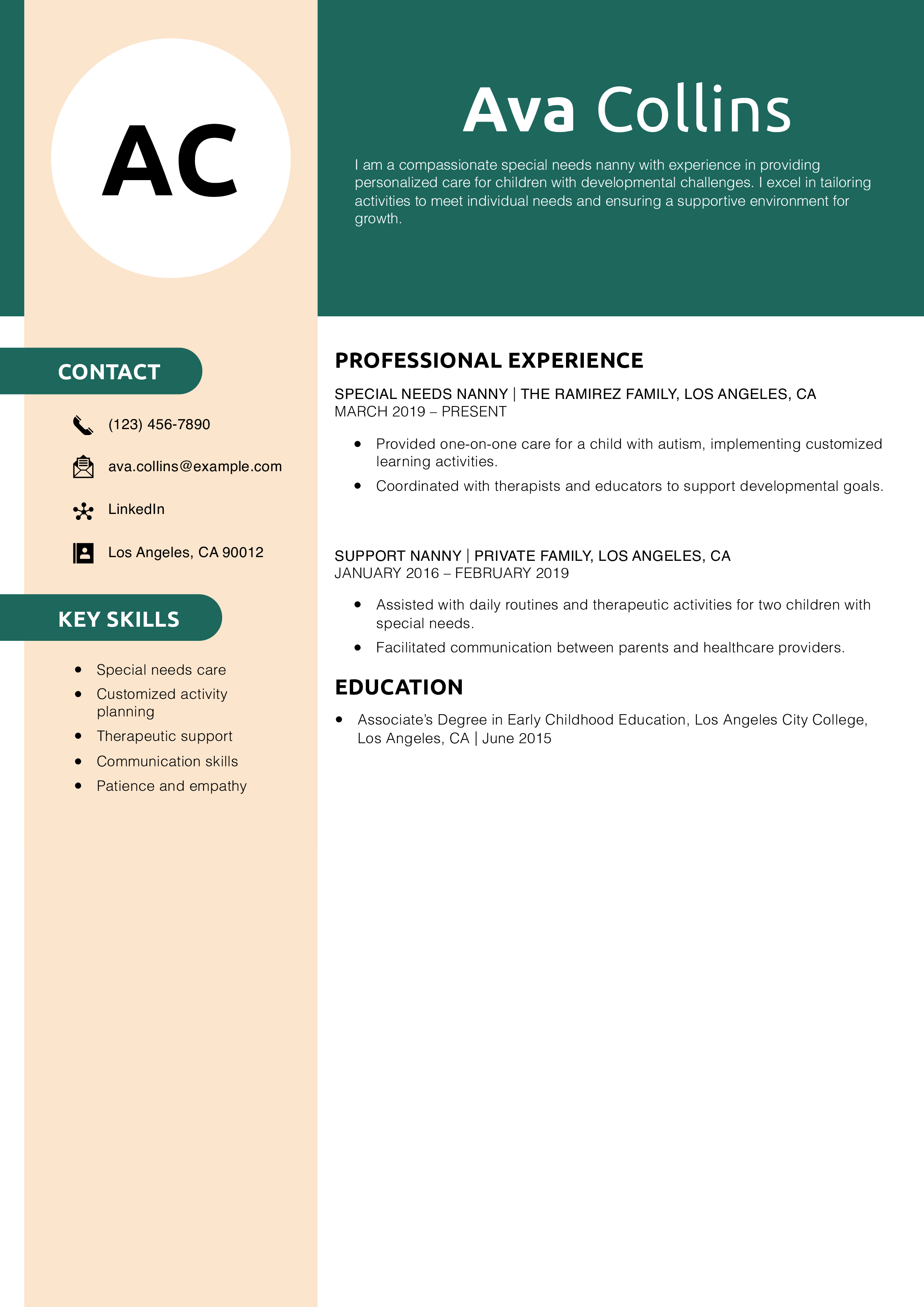 Special Needs Nanny Resume Example