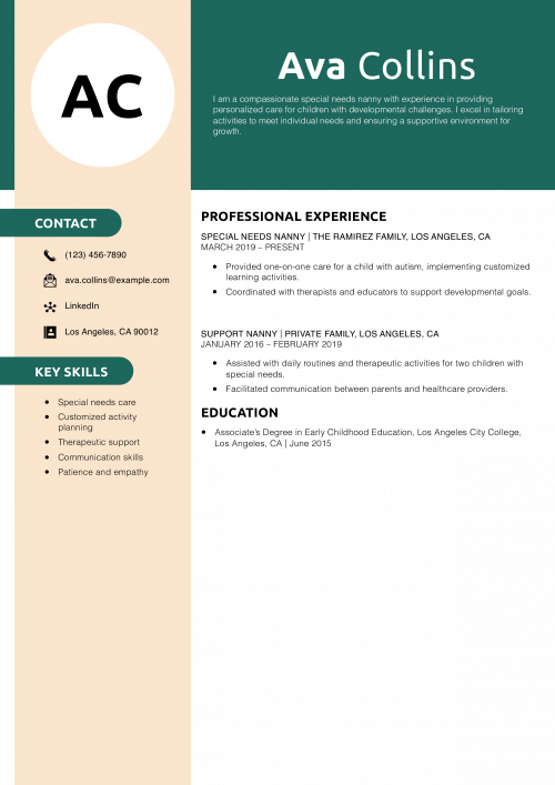 Special Needs Nanny Resume Example