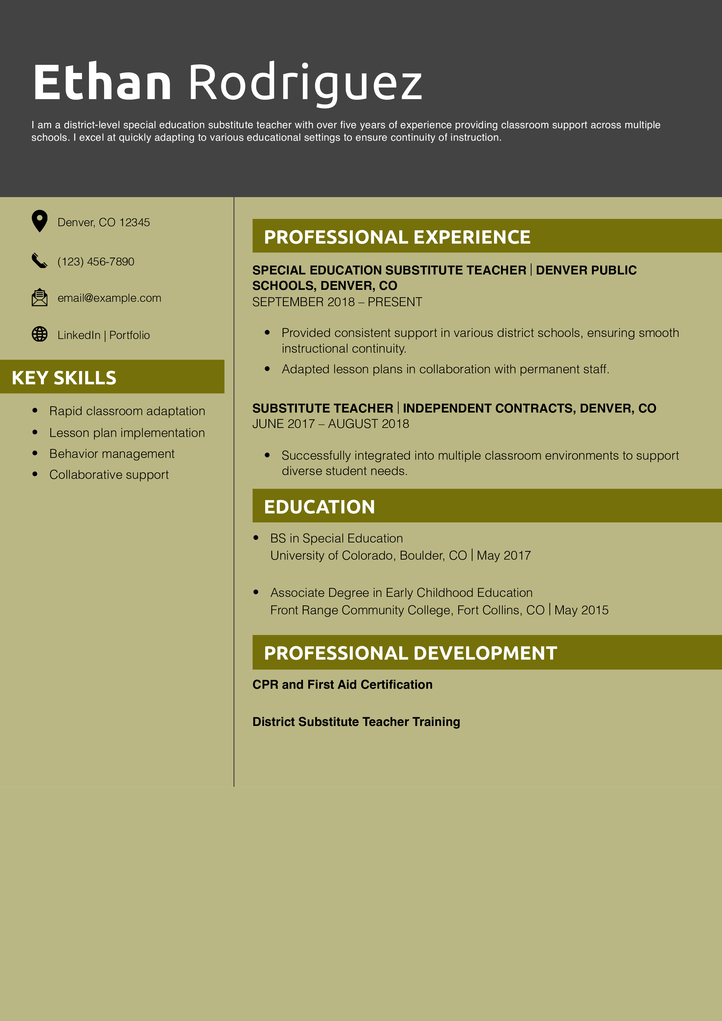 District-Level Special Education Substitute Teacher Resume Example
