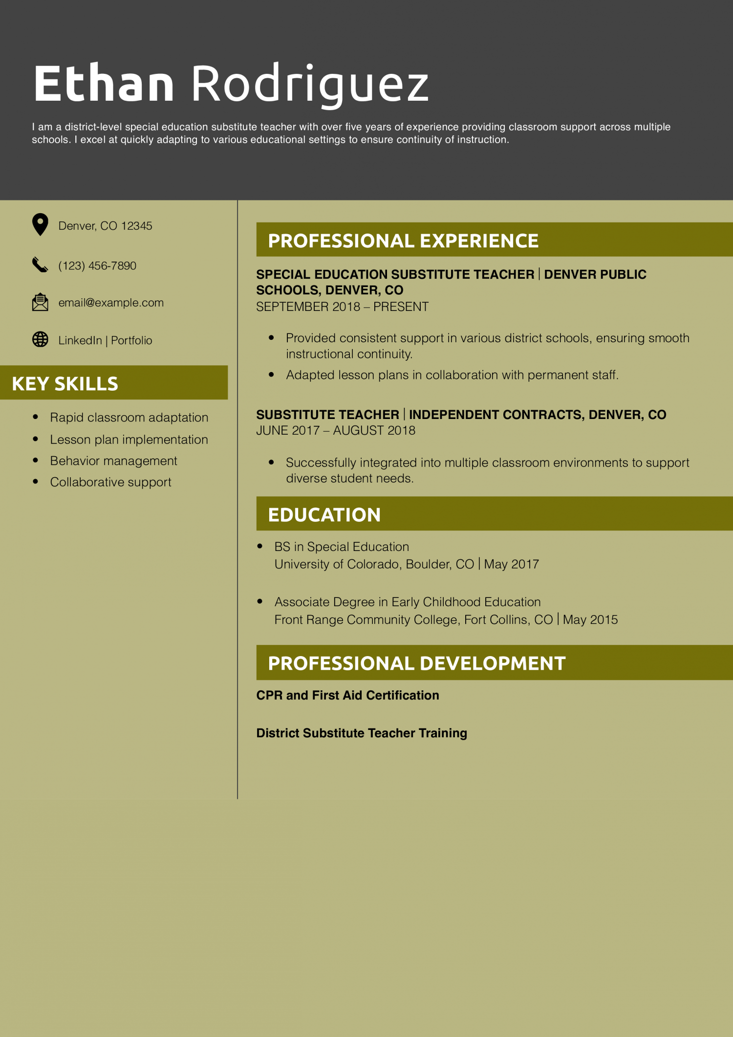 District-Level Special Education Substitute Teacher Resume Example