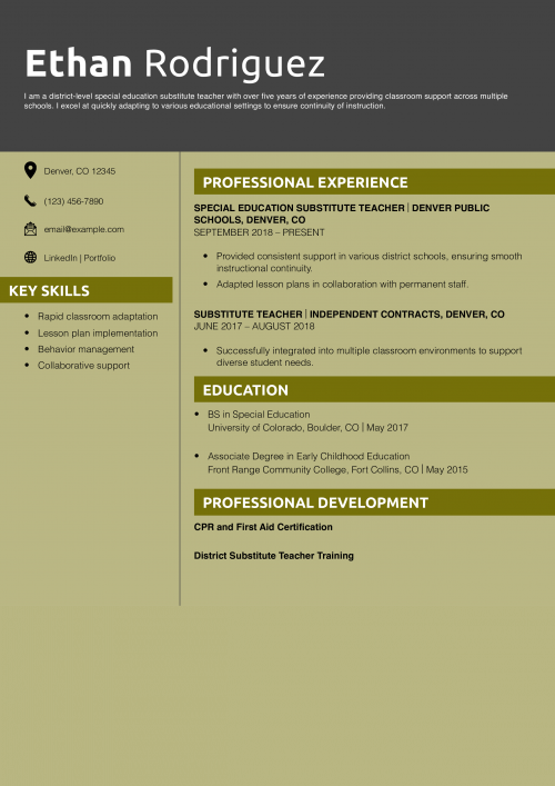  District-Level Special Education Substitute Teacher Resume Example