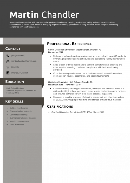 Senior Custodian Resume Example