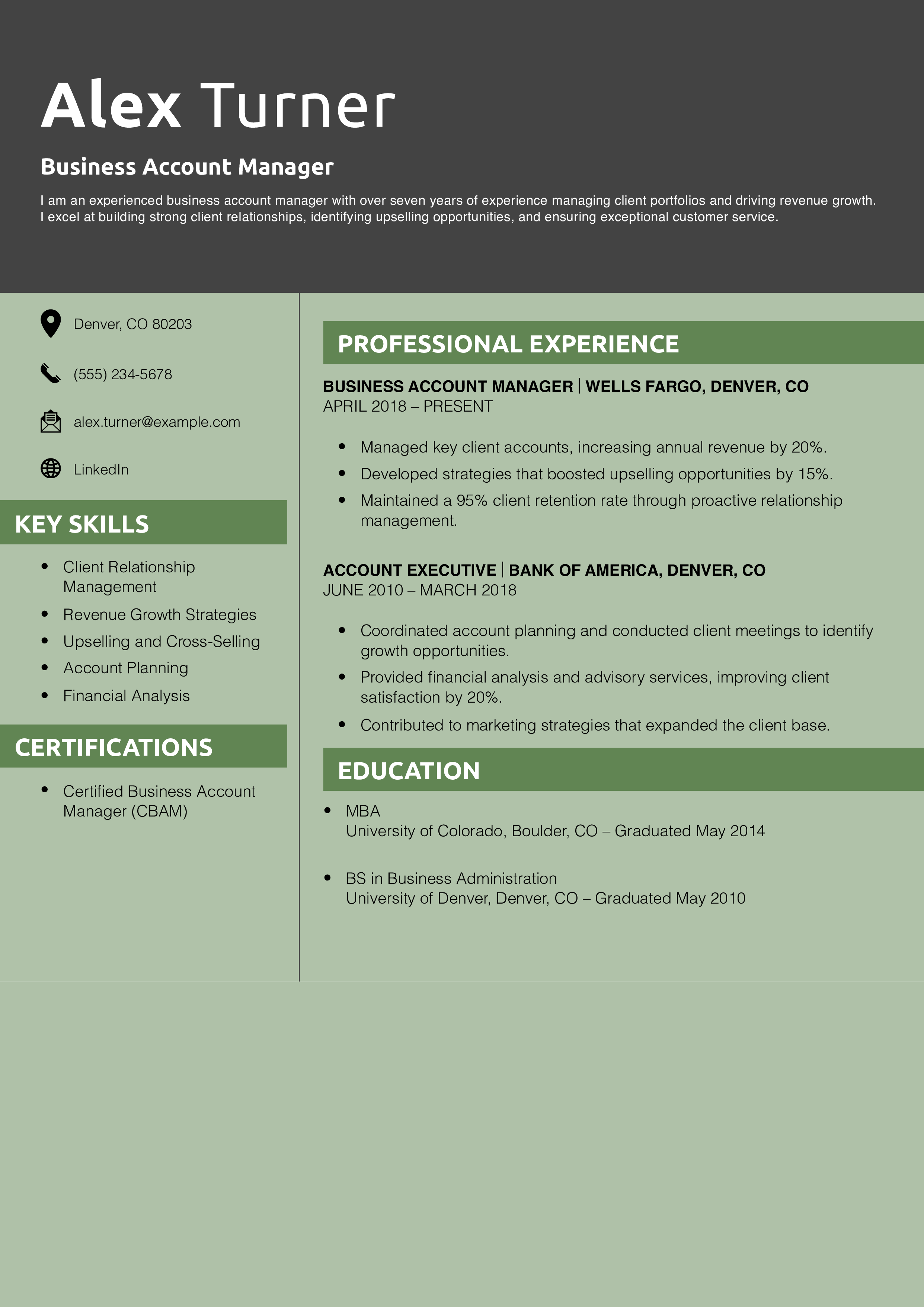 Business Account Manager Resume Example