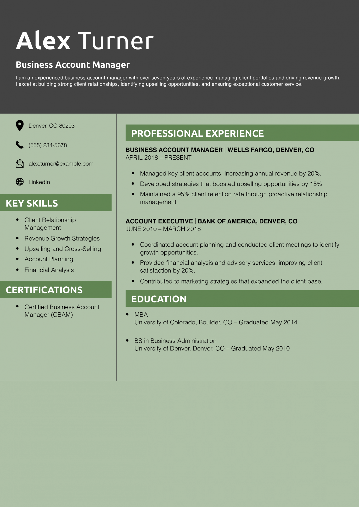 Business Account Manager Resume Example