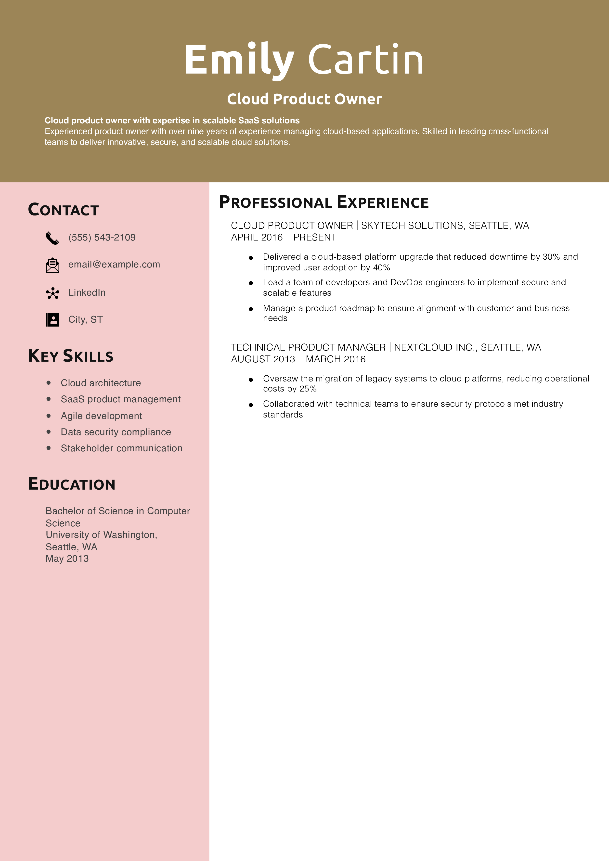 Cloud Product Owner Resume