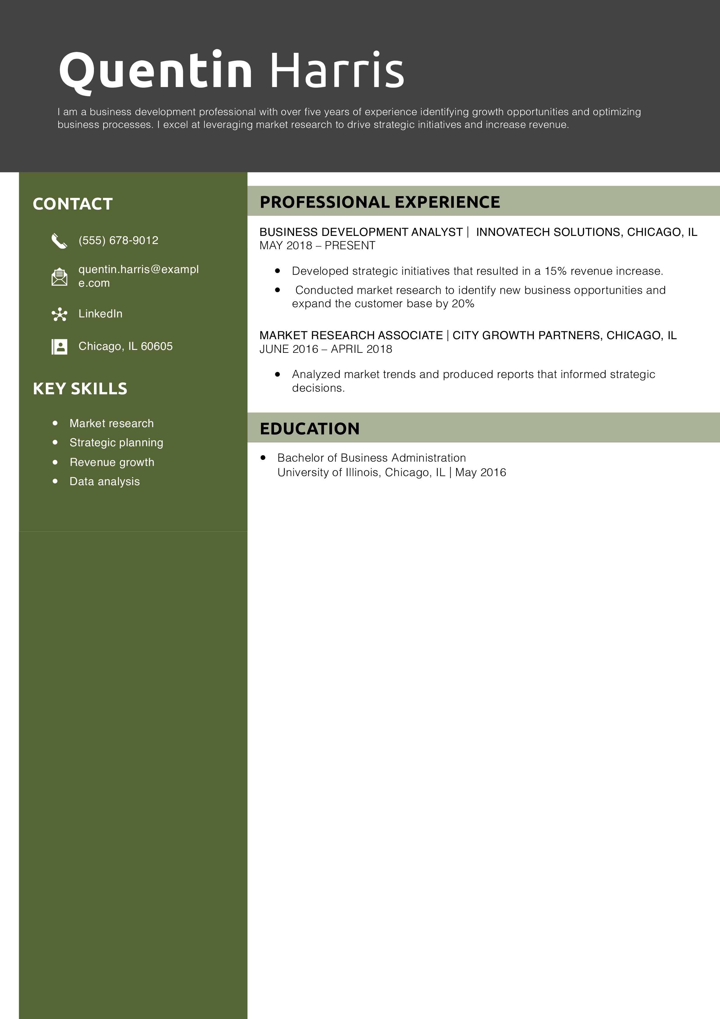 Business Development Resume Example