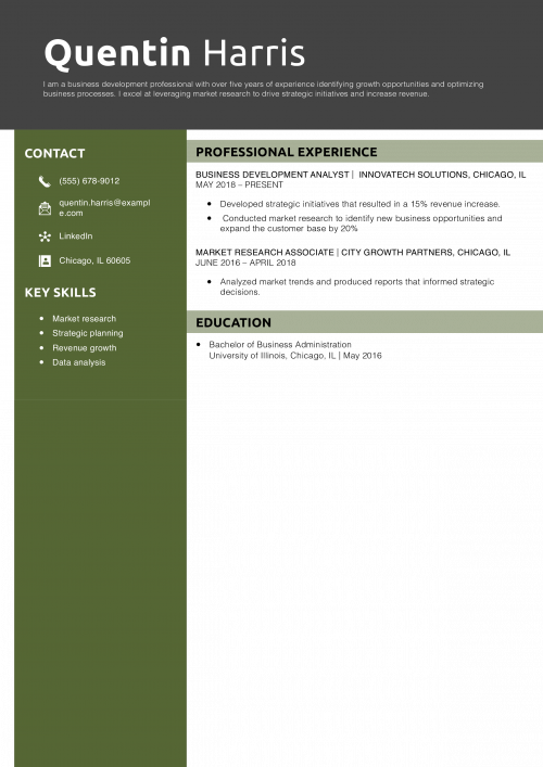 Business Development Resume Example