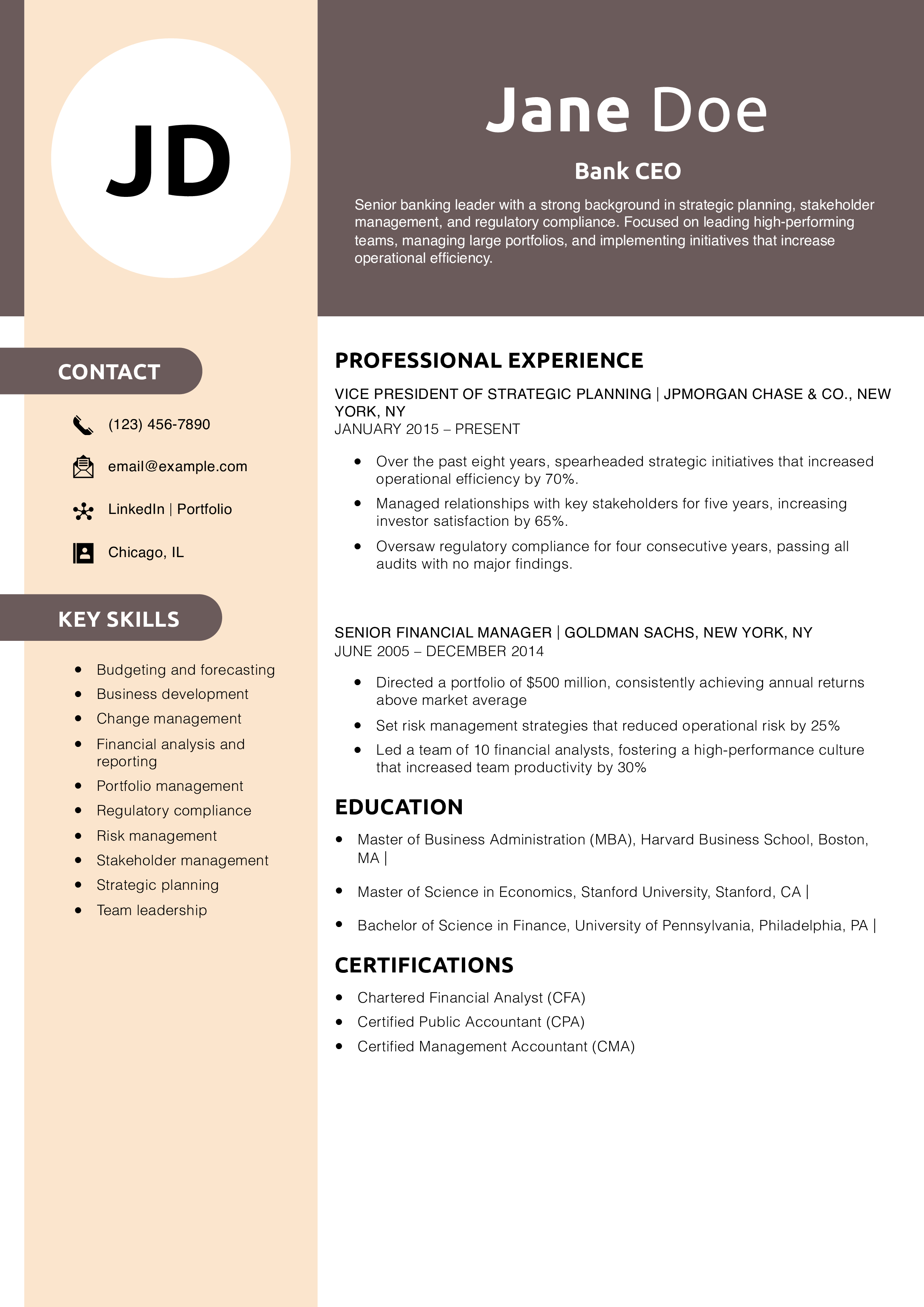 Bank CEO Resume Example