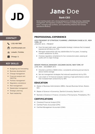 Bank CEO Resume Example