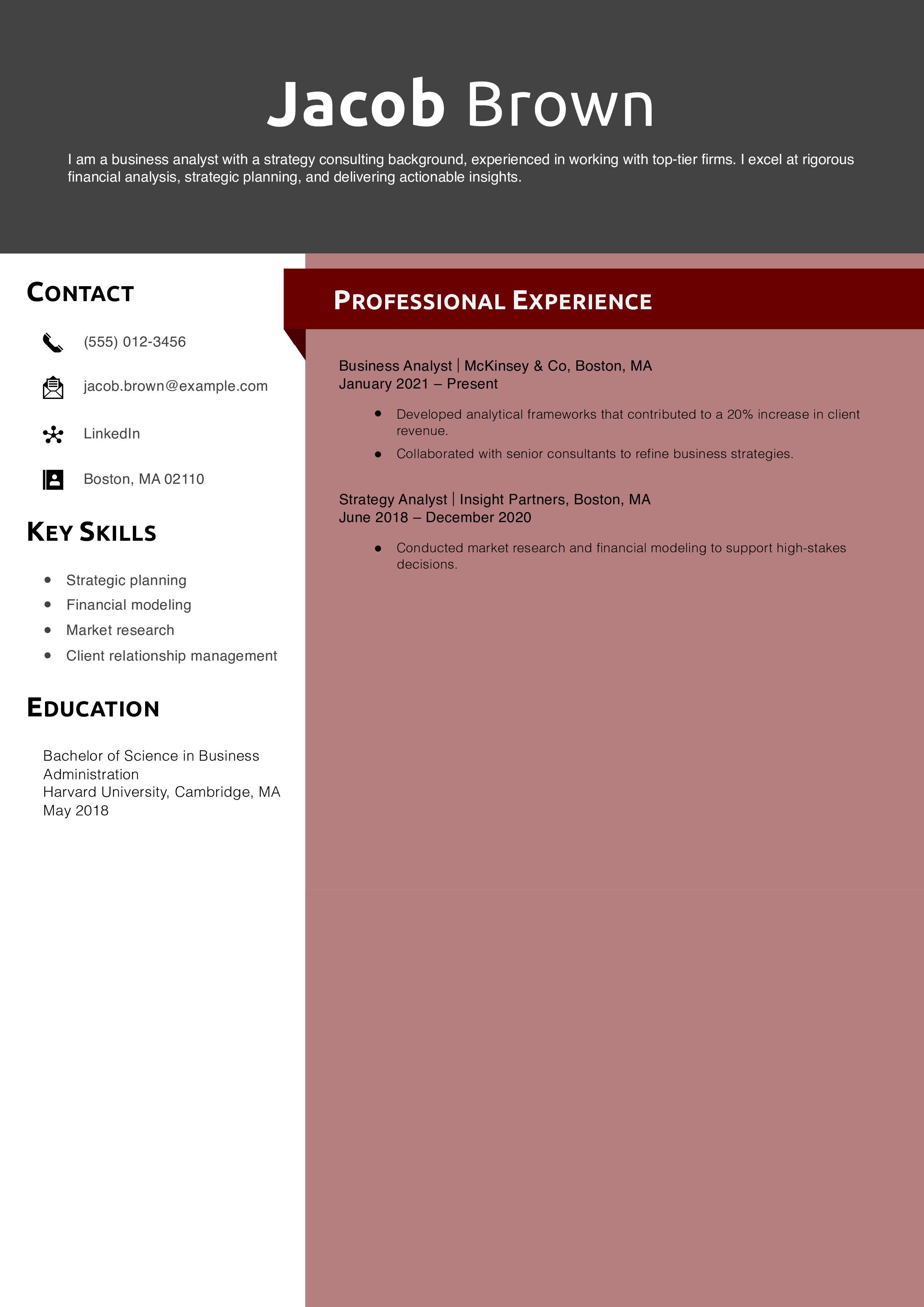 McKinsey Business Analyst Resume Example