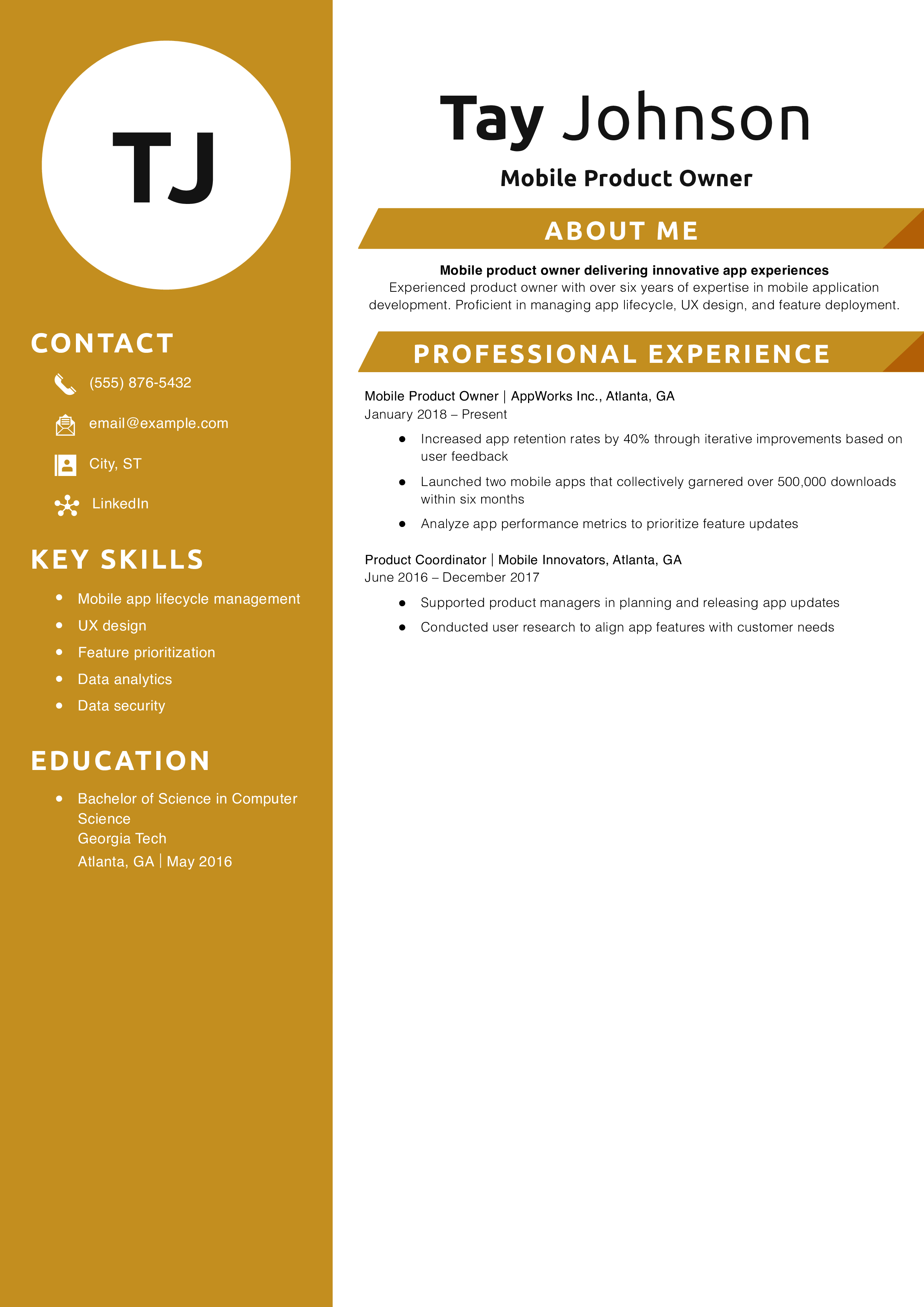 Mobile Product Owner Resume