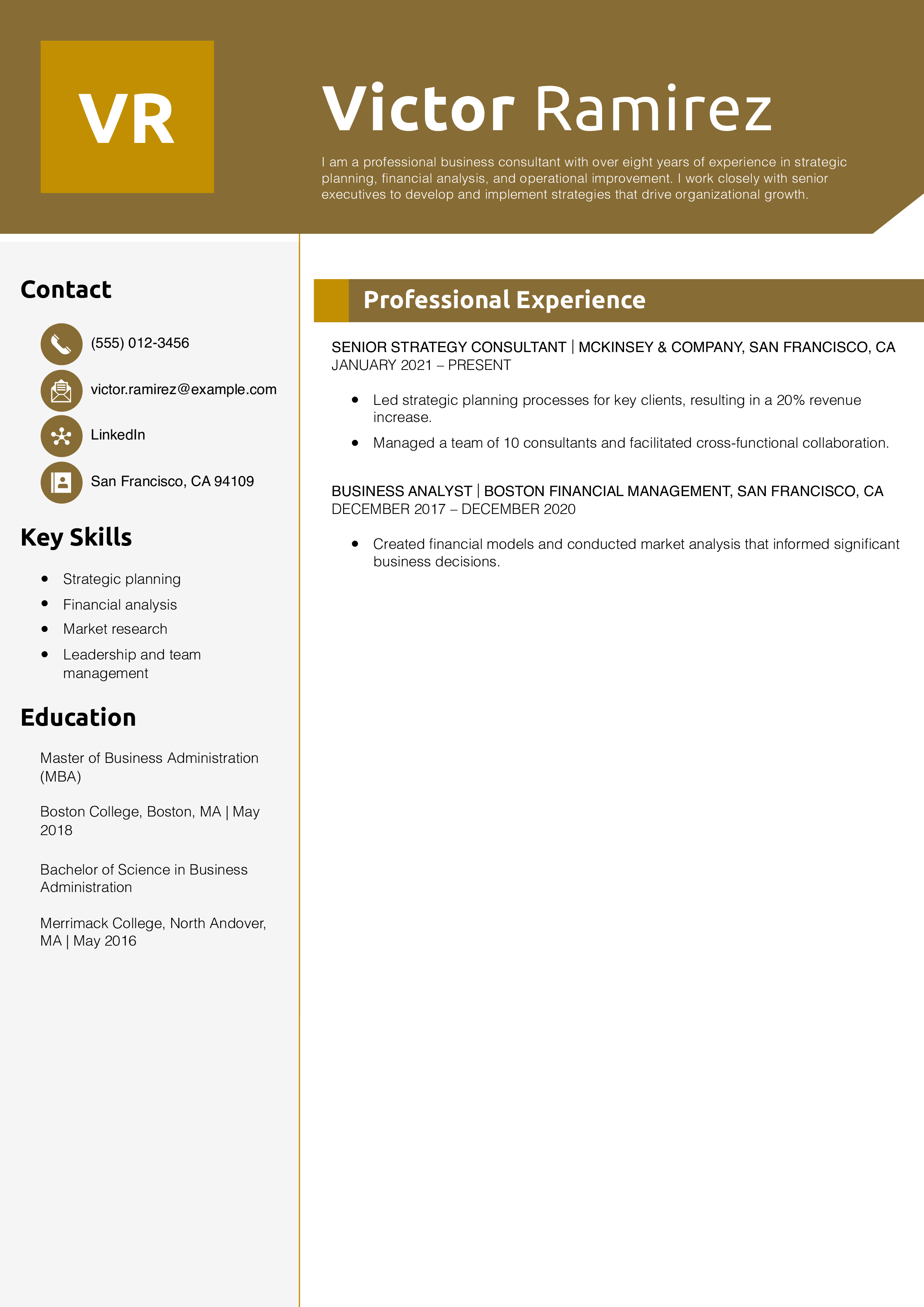 Professional Business Consultant Resume Example
