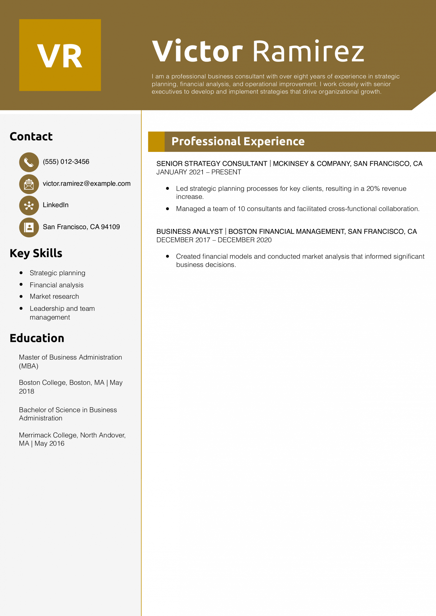 Professional Business Consultant Resume Example
