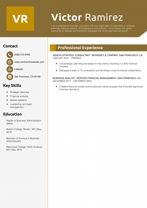 Professional Business Consultant Resume Example