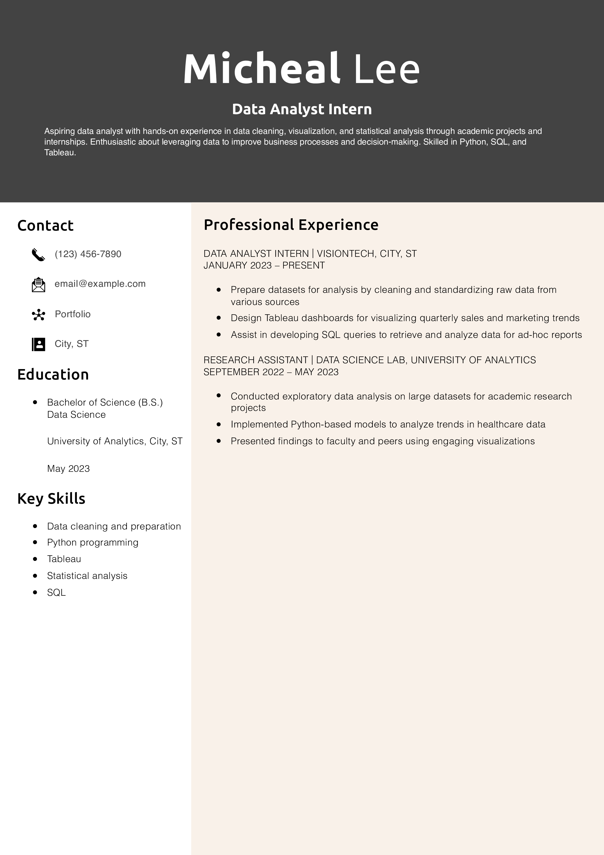 Data Analyst Intern Resume Example