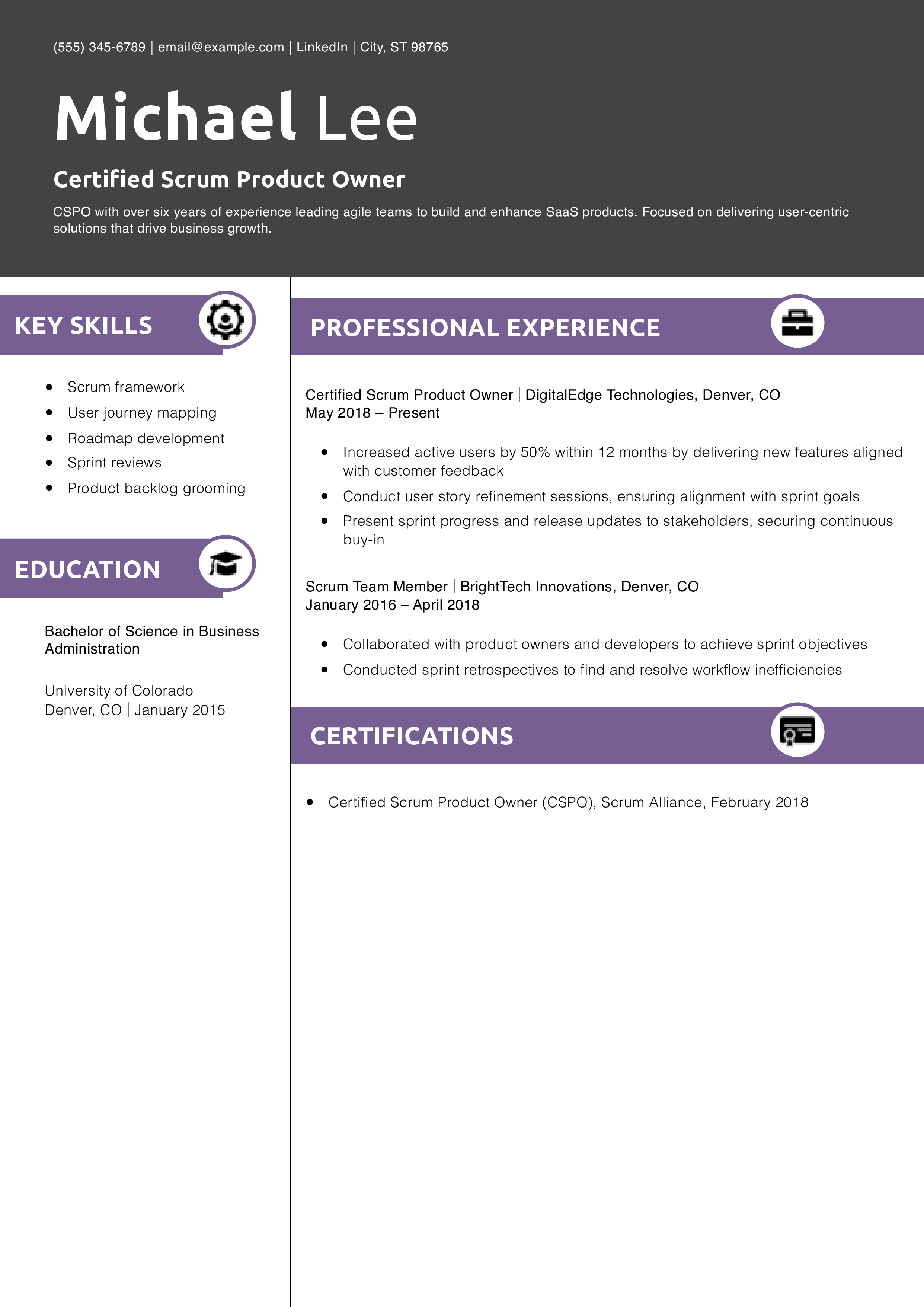 Certified Scrum Product Owner Resume