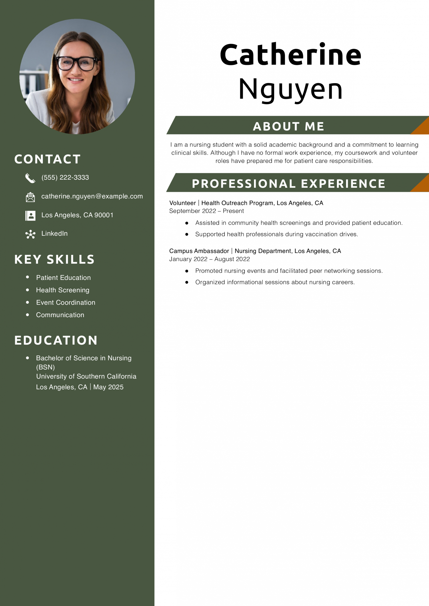 Resume for Nursing Student with No Experience