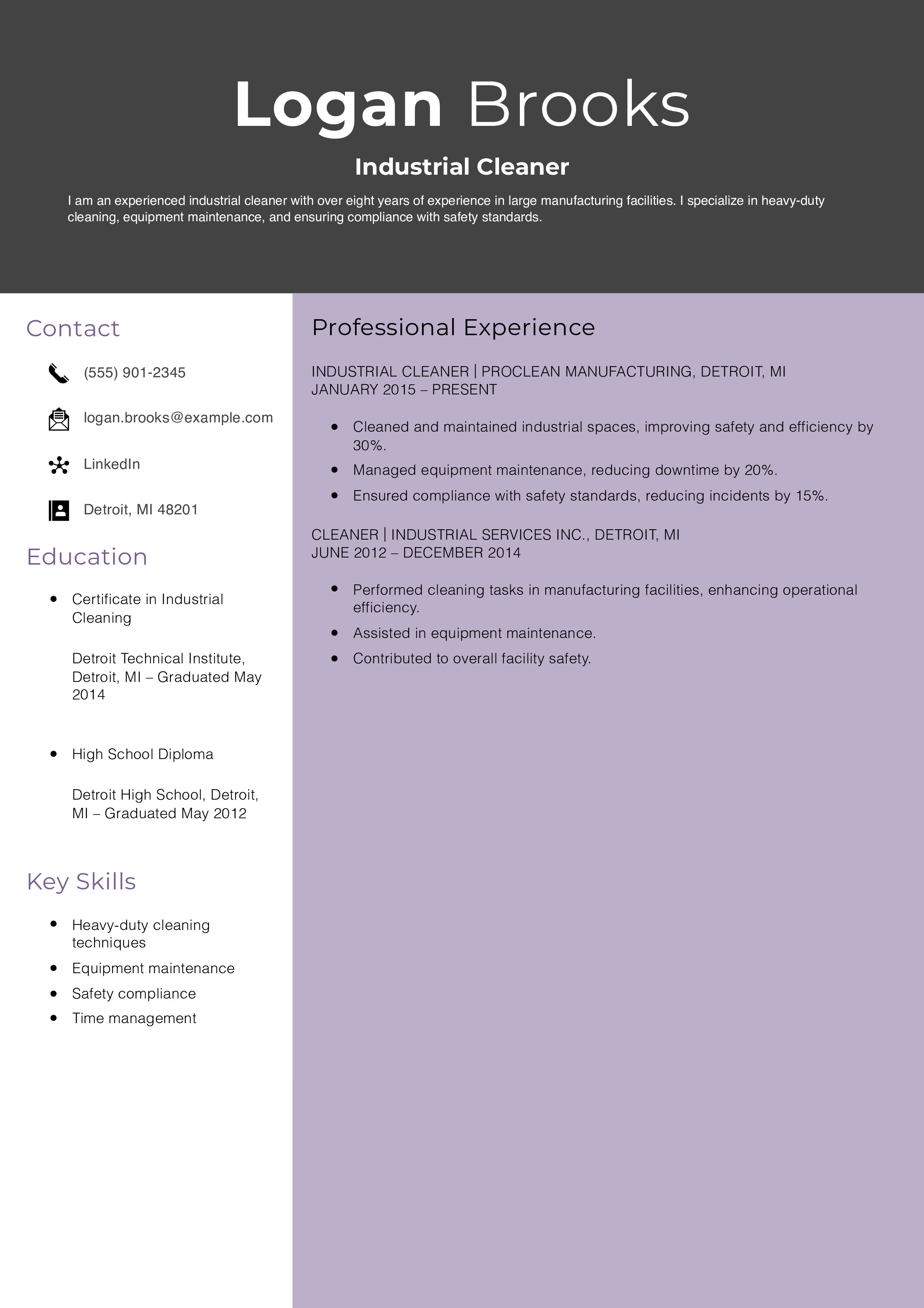 Industrial Cleaner Resume Example