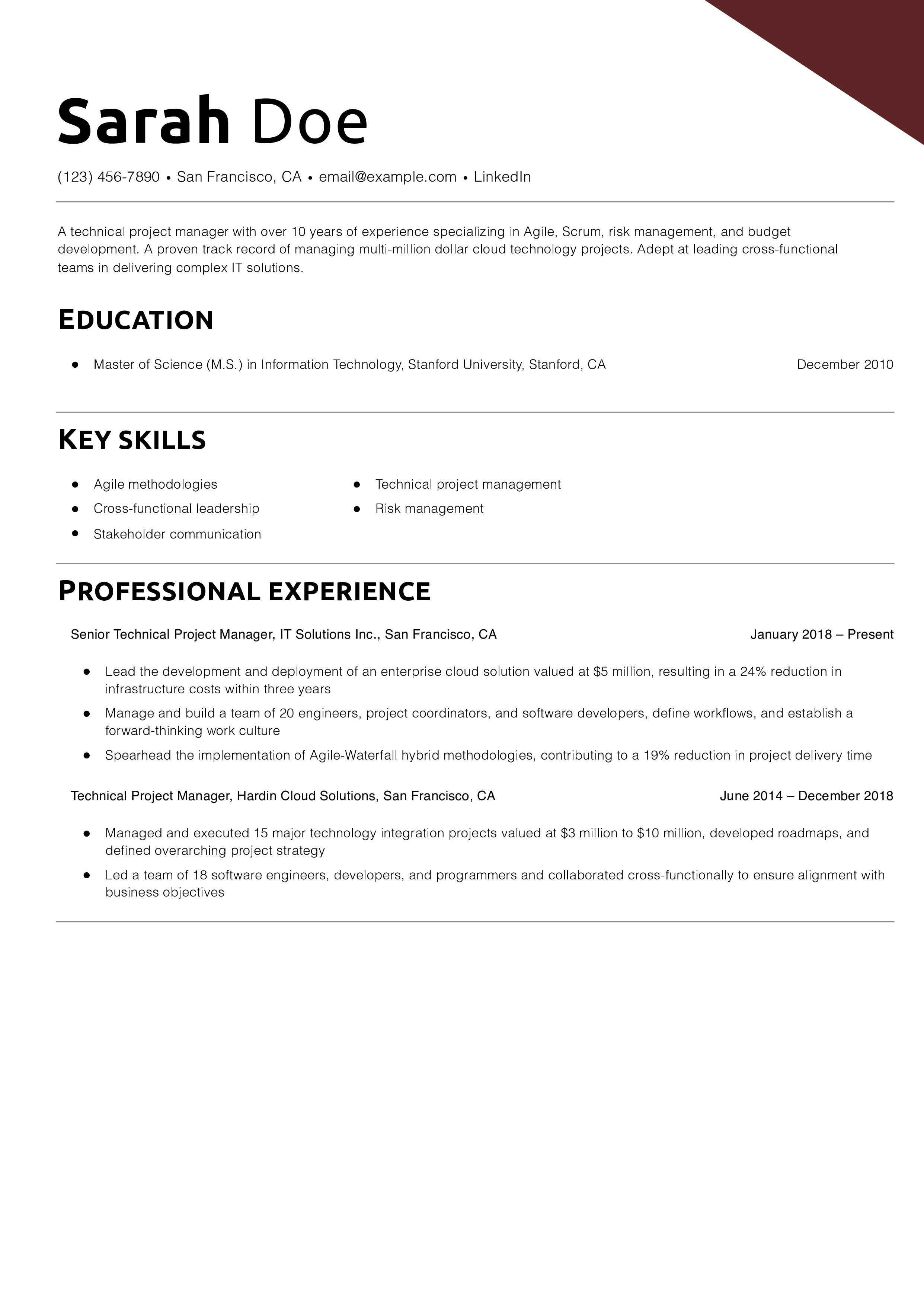 Technical Project Manager