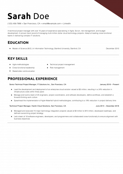 Technical Project Manager