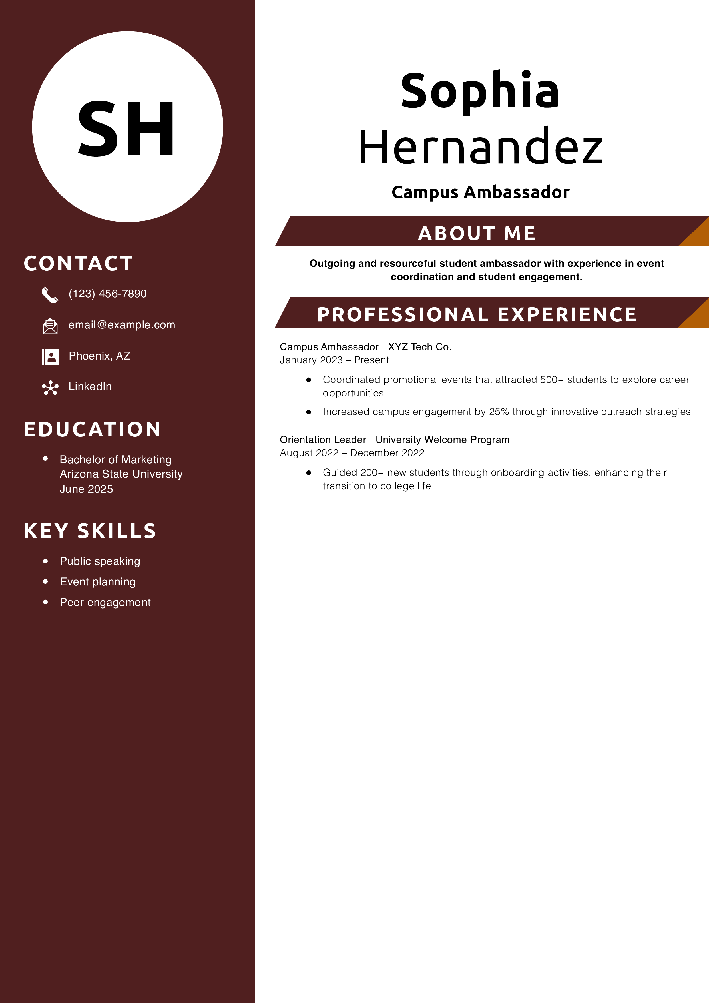 Campus Ambassador Resume Example