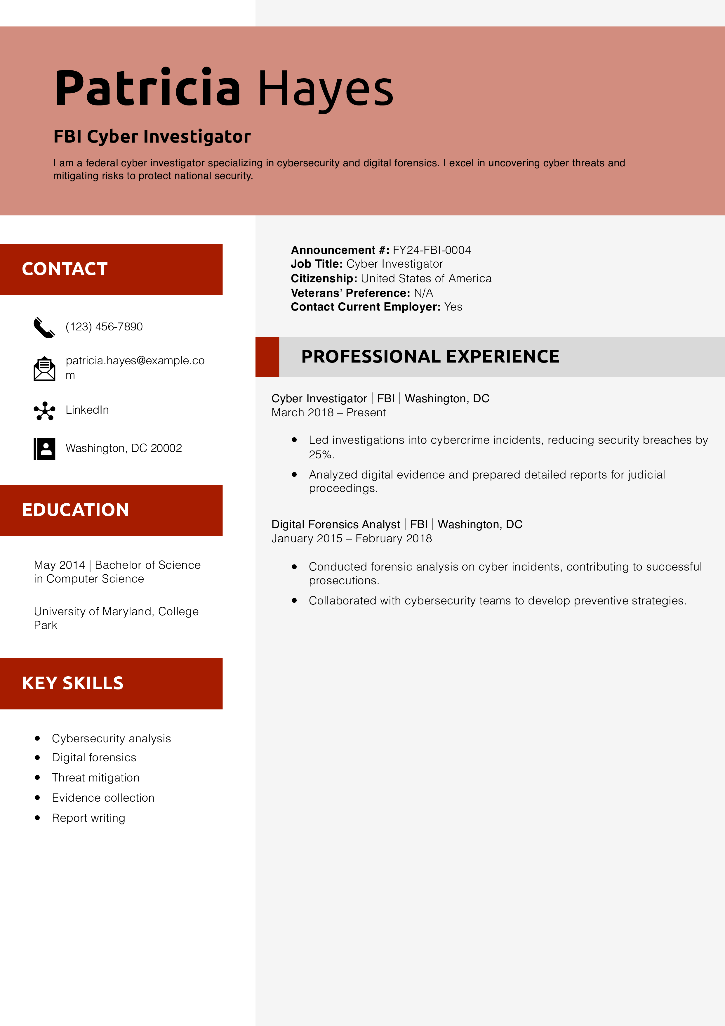 FBI Cyber Investigator Resume Example