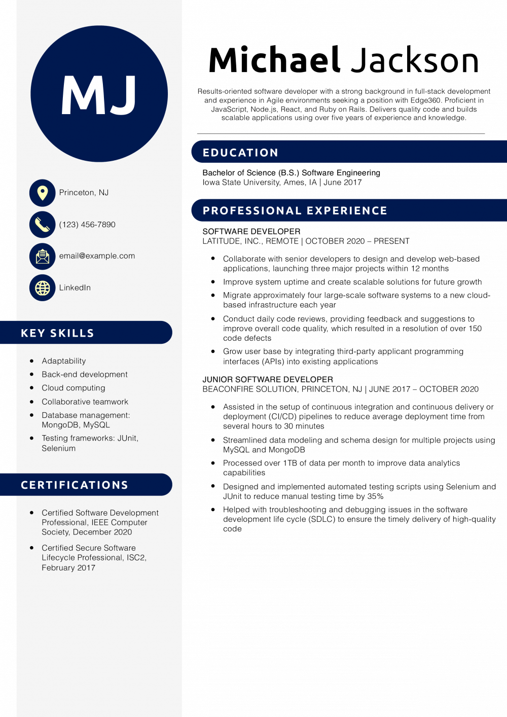 Mid-Career Software Developer Resume