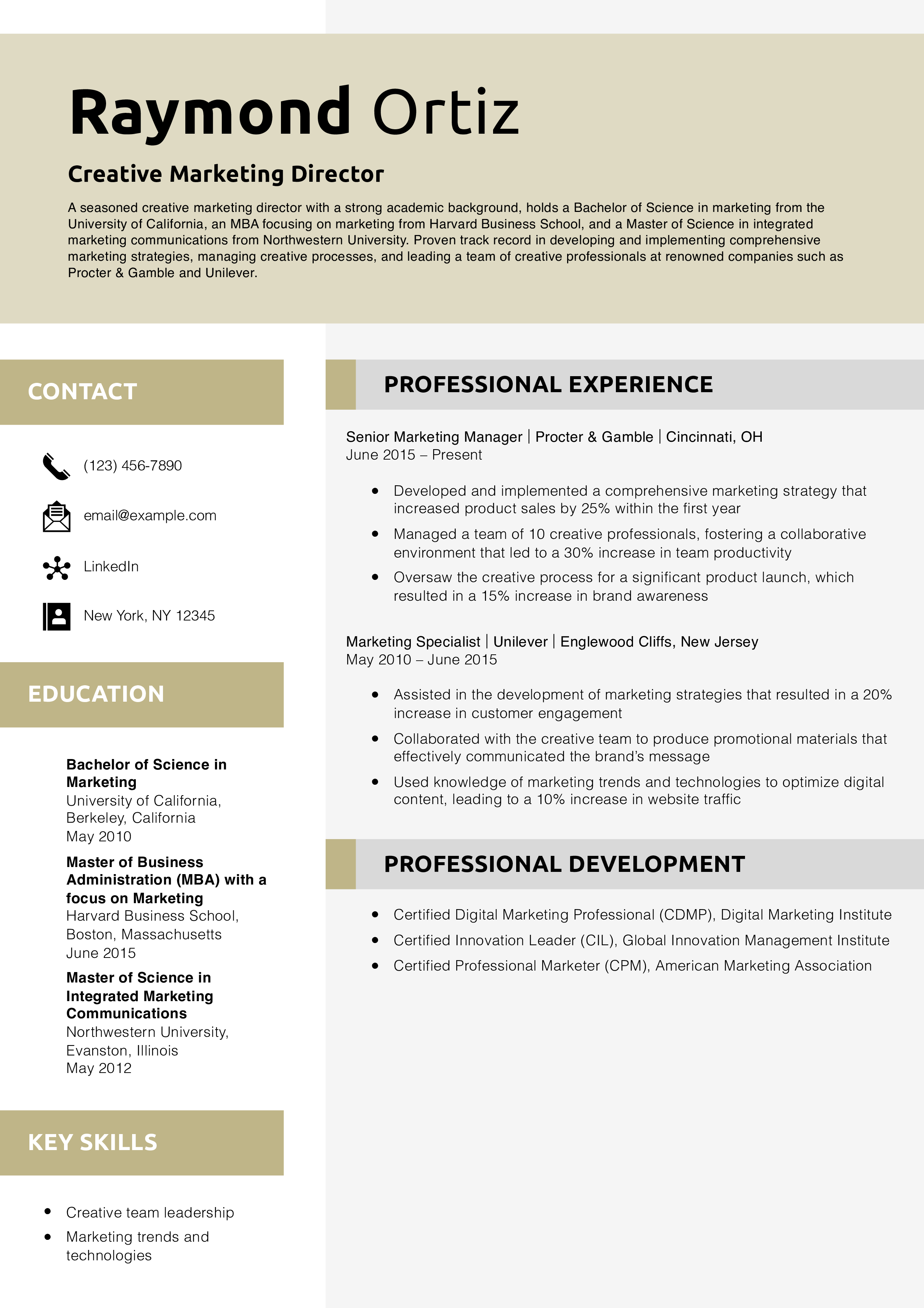 Creative Marketing Director Resume Example