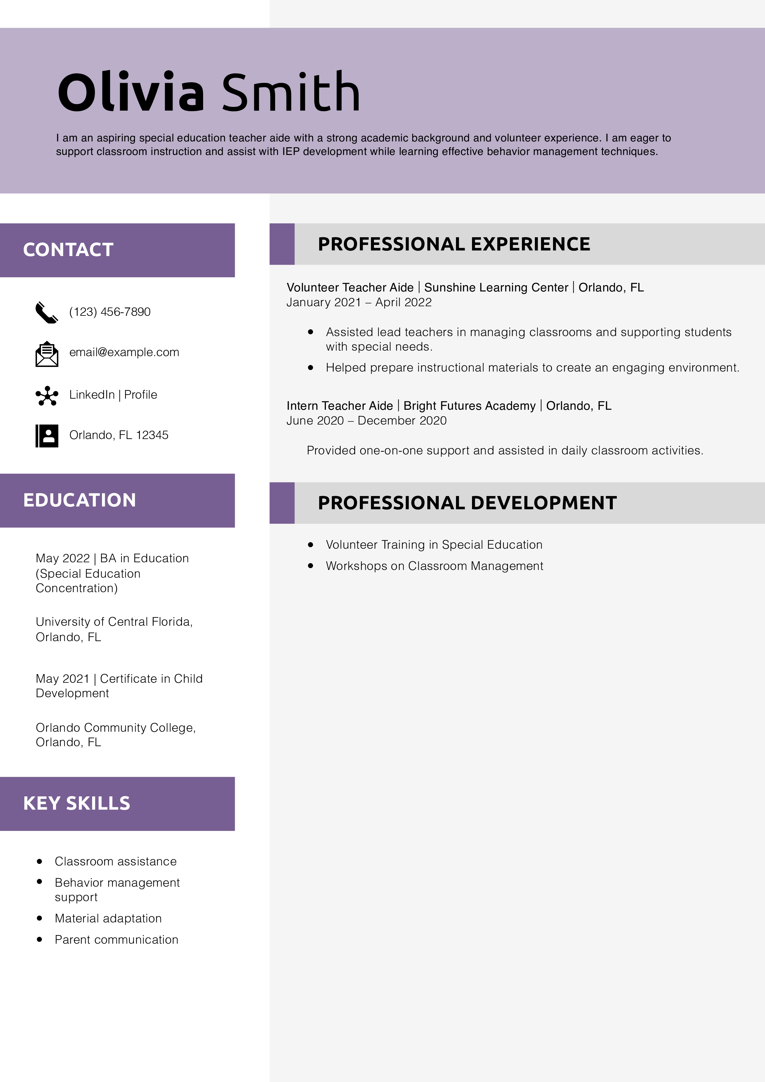 Aspiring Special Education Teacher Aide Resume Example