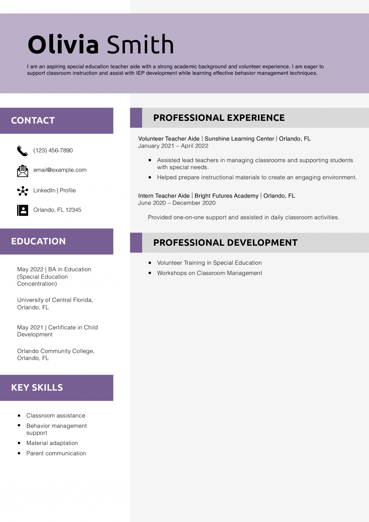 Aspiring Special Education Teacher Aide Resume Example