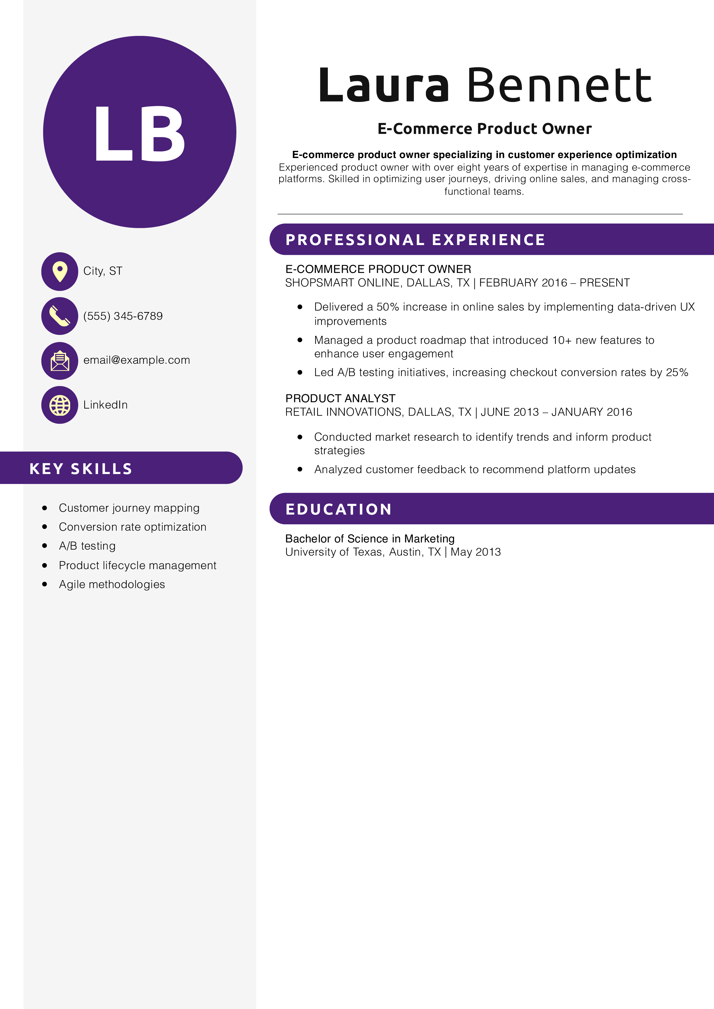 E-Commerce Product Owner Resume
