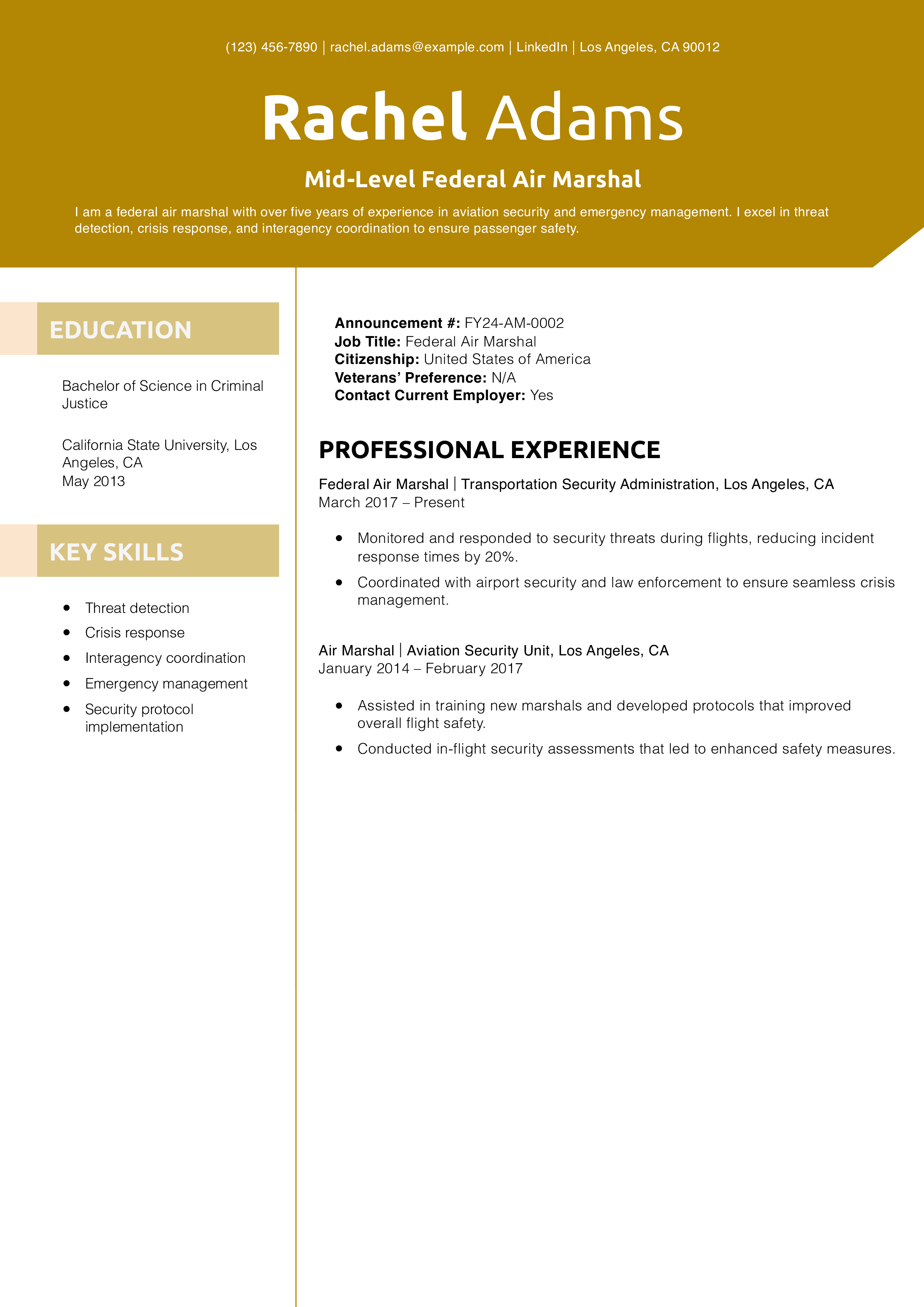 Mid-Level Federal Air Marshal Resume Example