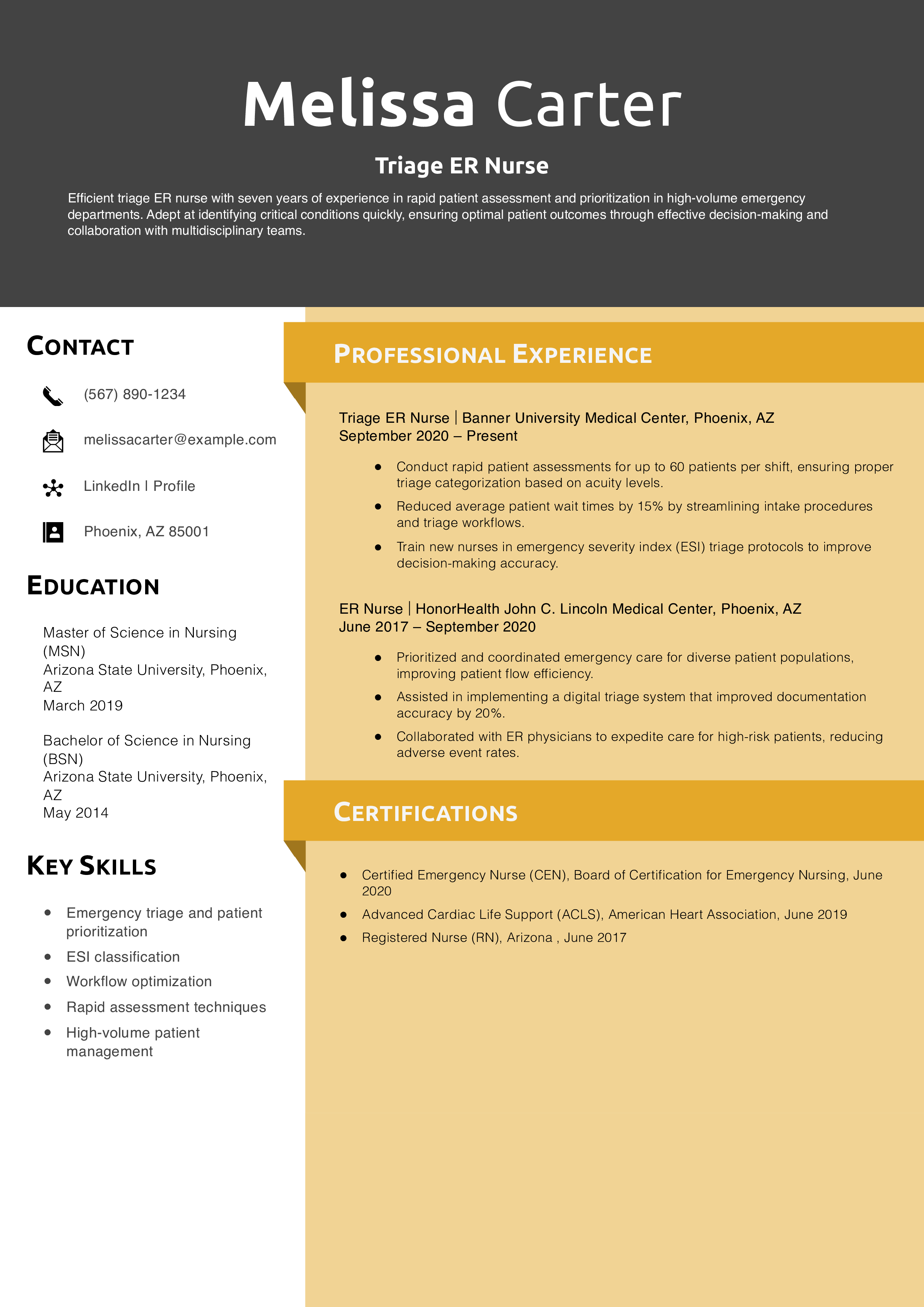 Triage ER Nurse Resume Example