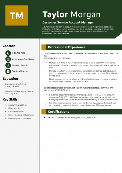 Customer Service Account Manager Resume Example
