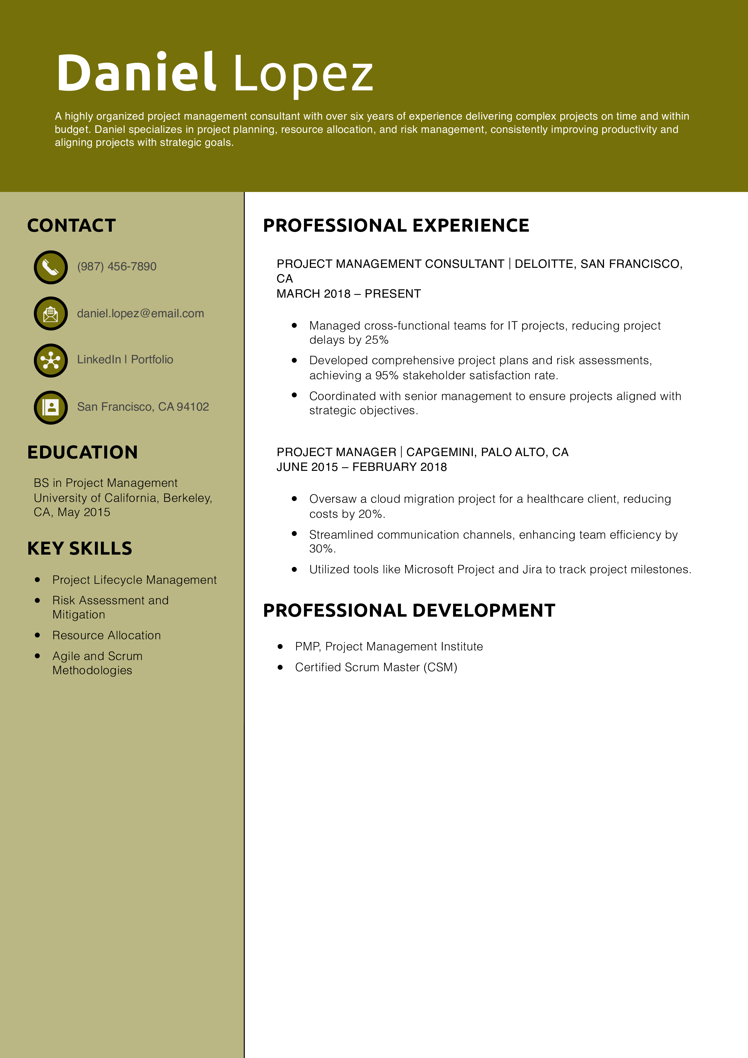 Project Management Consultant Resume Example